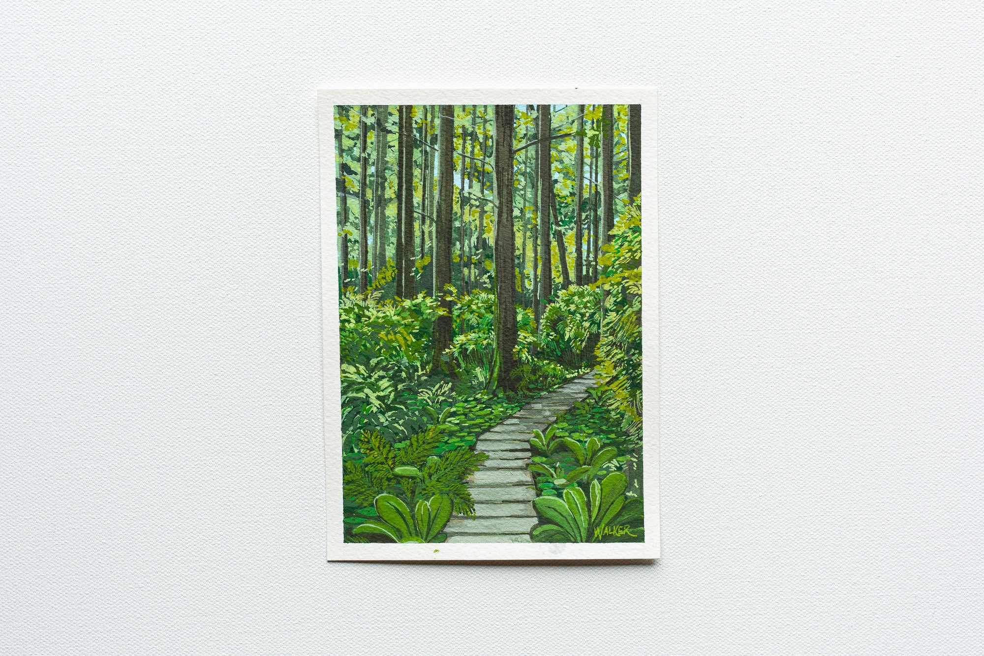 "AFTER THE RAIN" STUDY