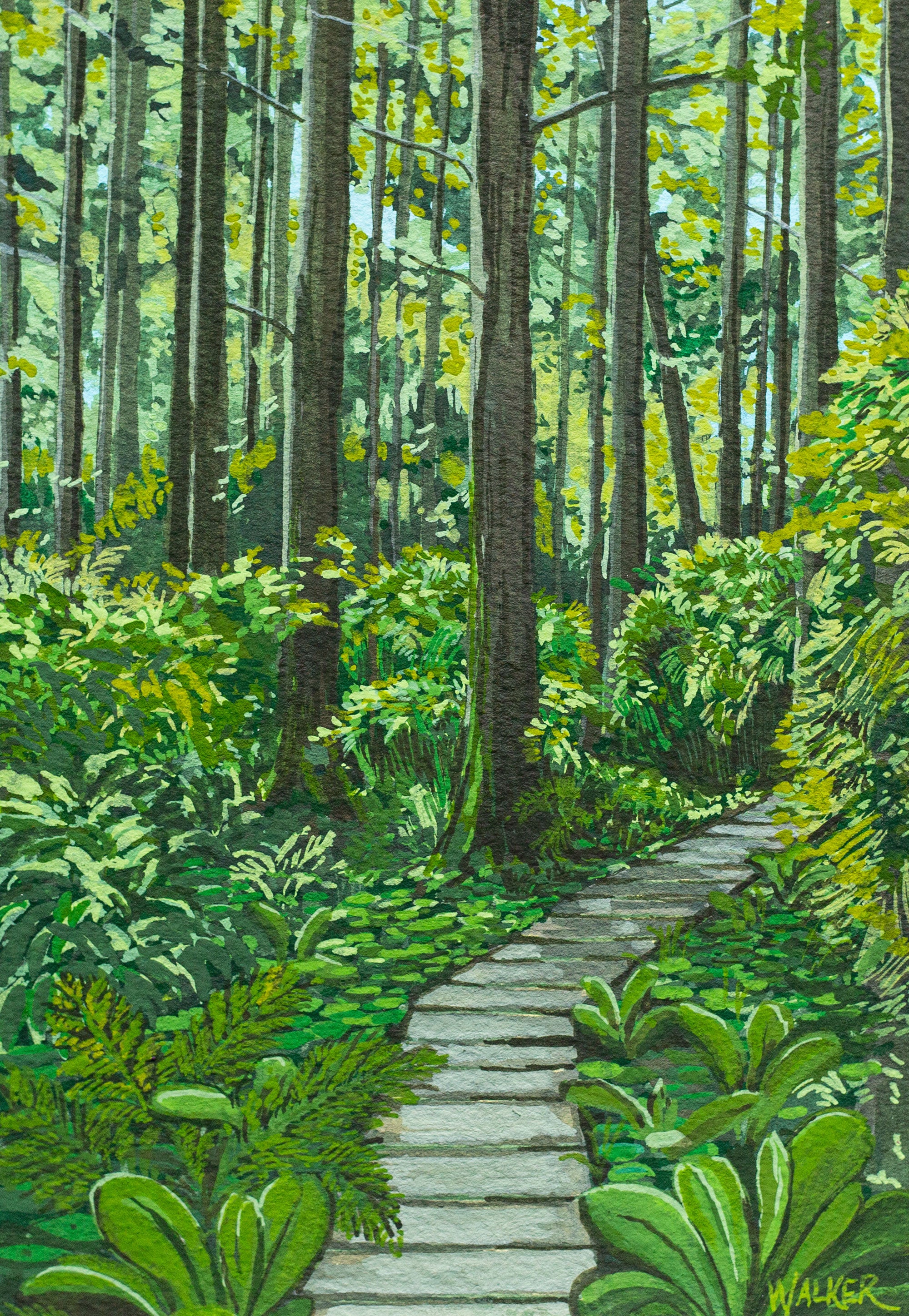 "AFTER THE RAIN" STUDY