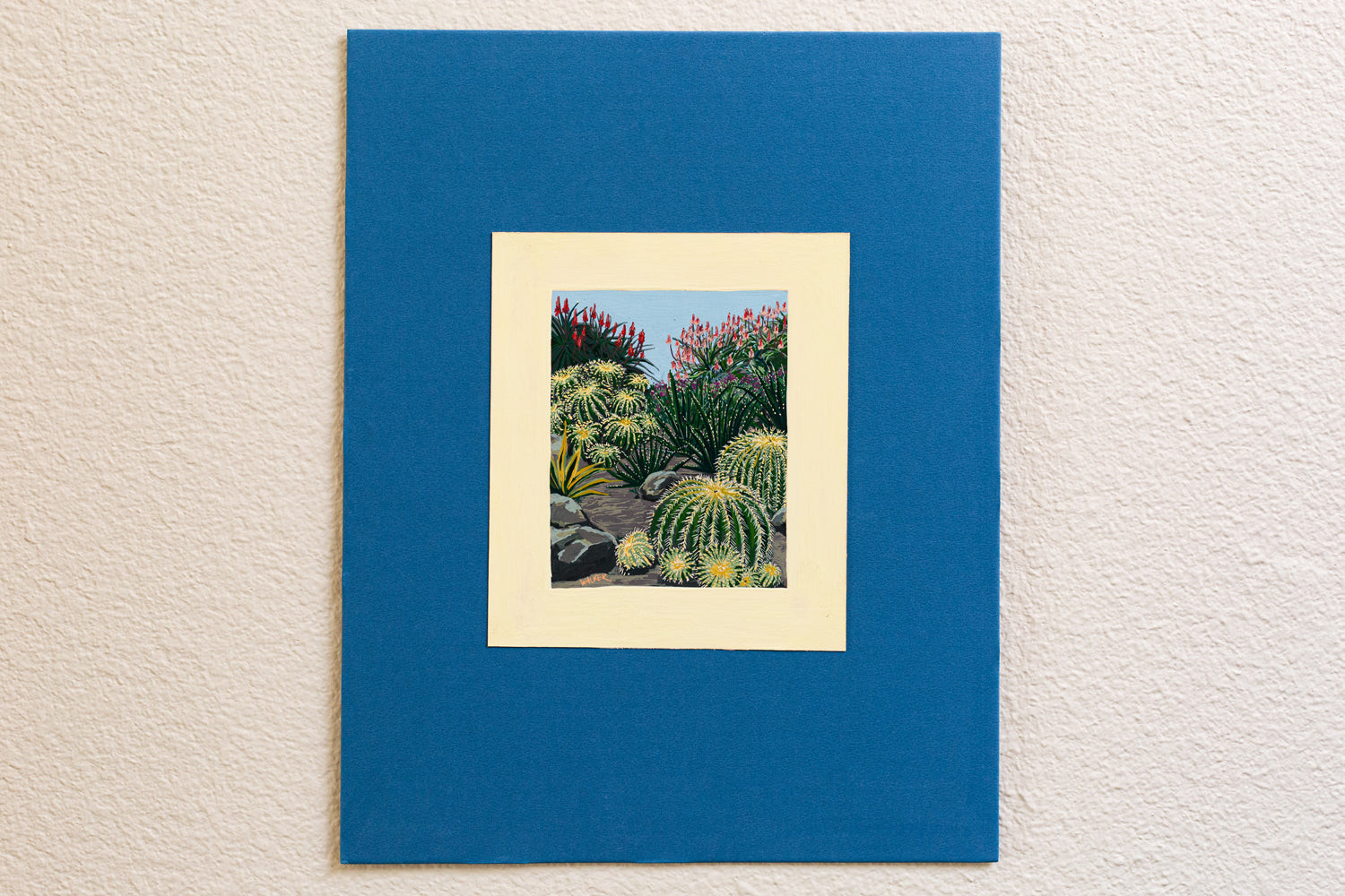 "BARREL CACTUS COMPOSITION"