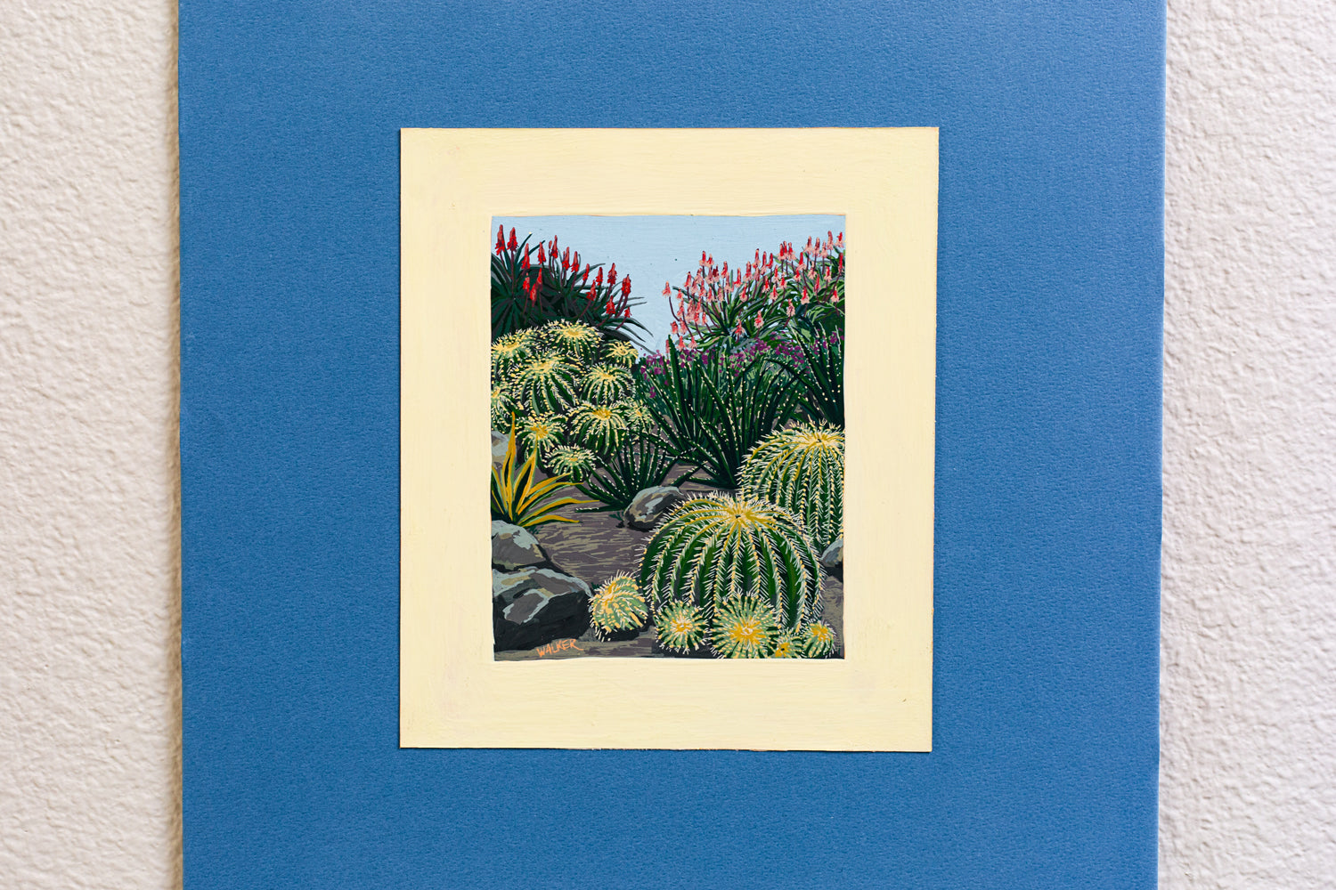 "BARREL CACTUS COMPOSITION"