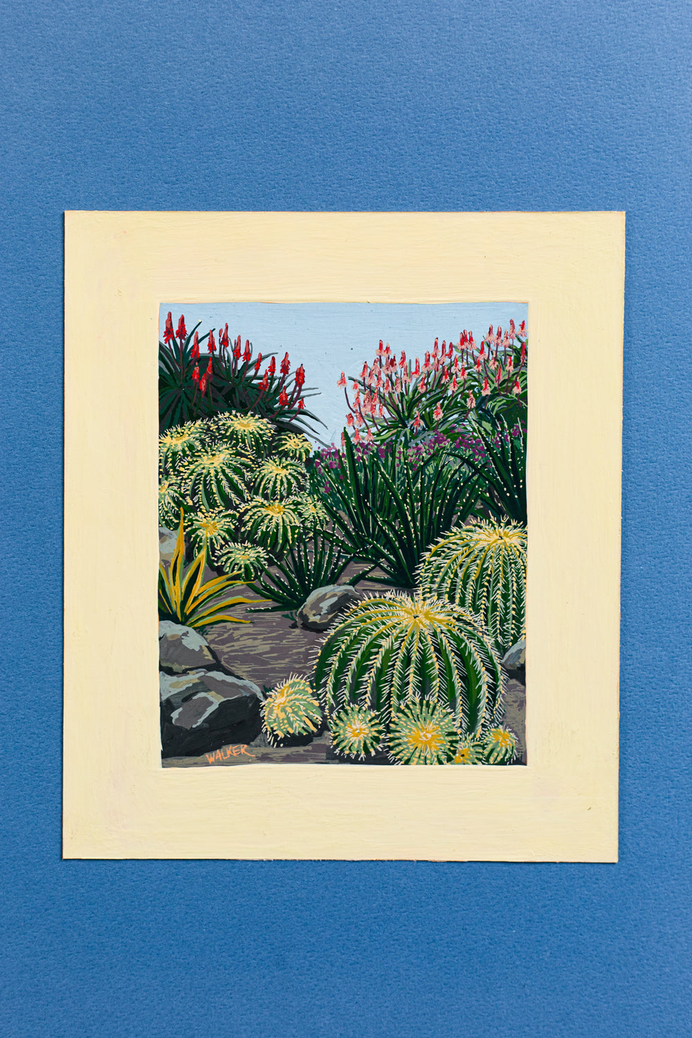 "BARREL CACTUS COMPOSITION"