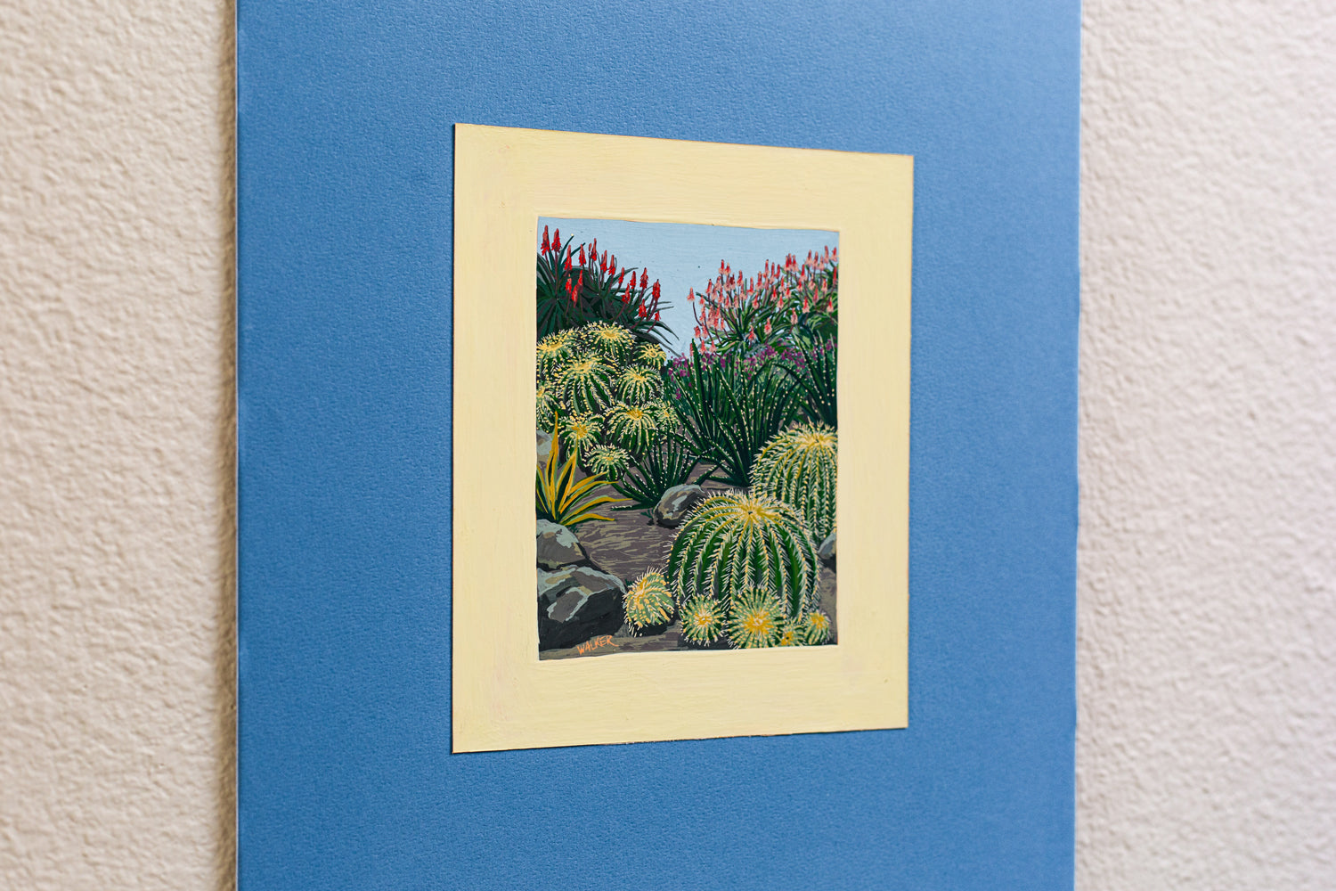 "BARREL CACTUS COMPOSITION"