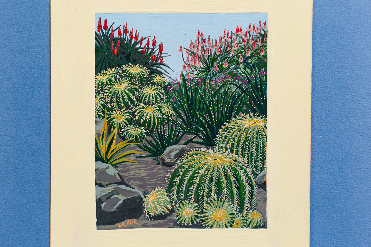 "BARREL CACTUS COMPOSITION"