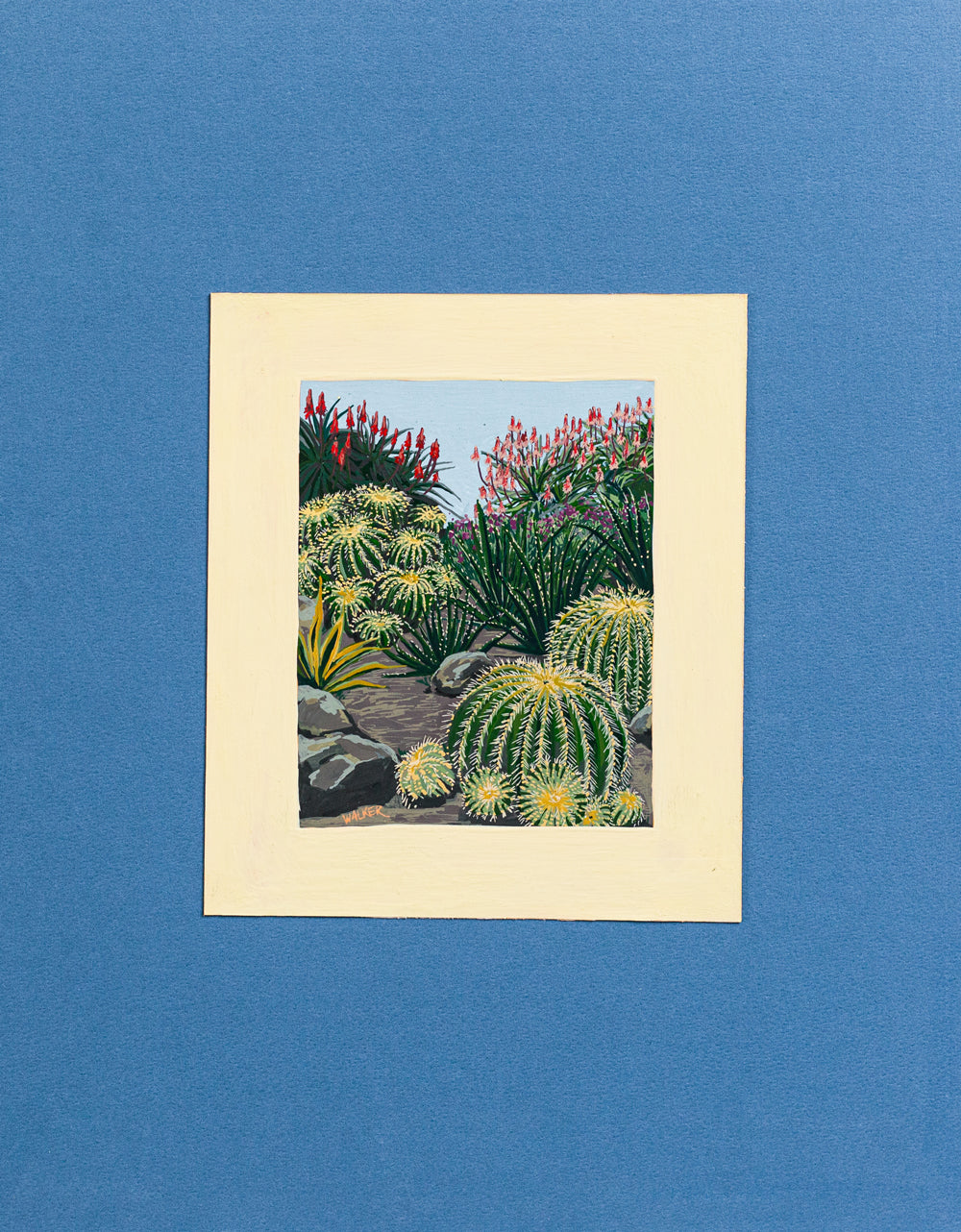 "Barrel Cactus Composition" PRINT