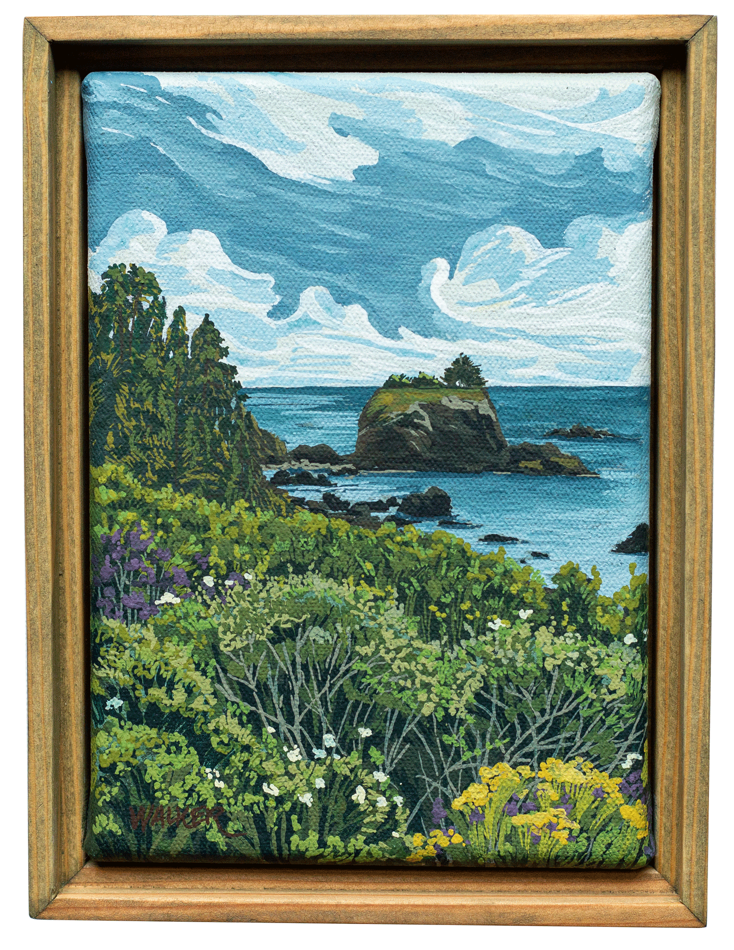 "BATTERY POINT BLOOMS" STUDY