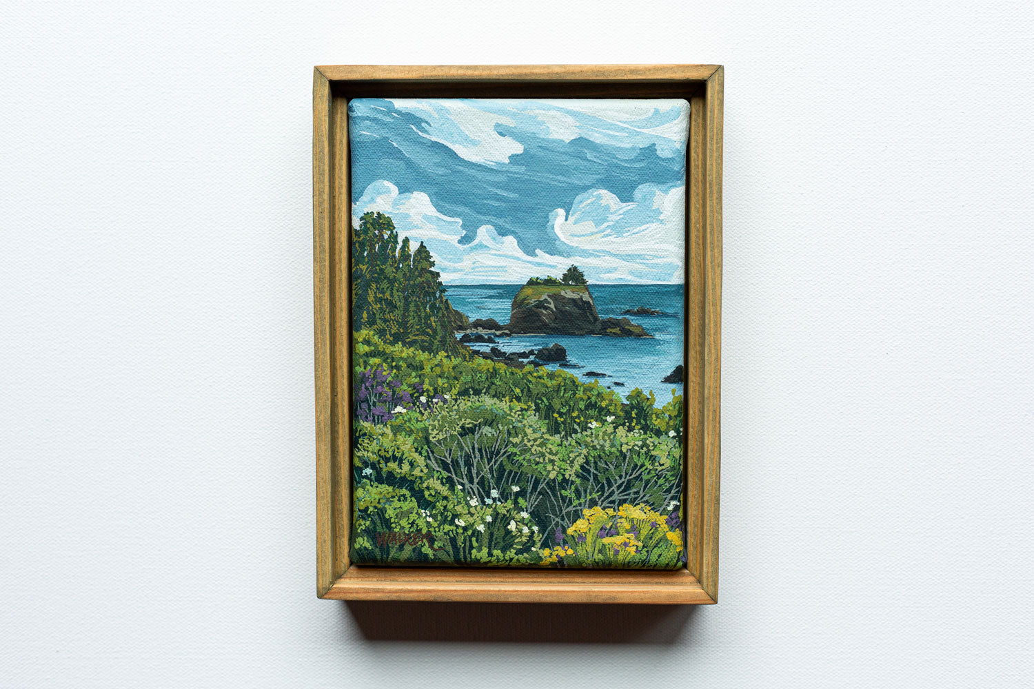 "BATTERY POINT BLOOMS" STUDY