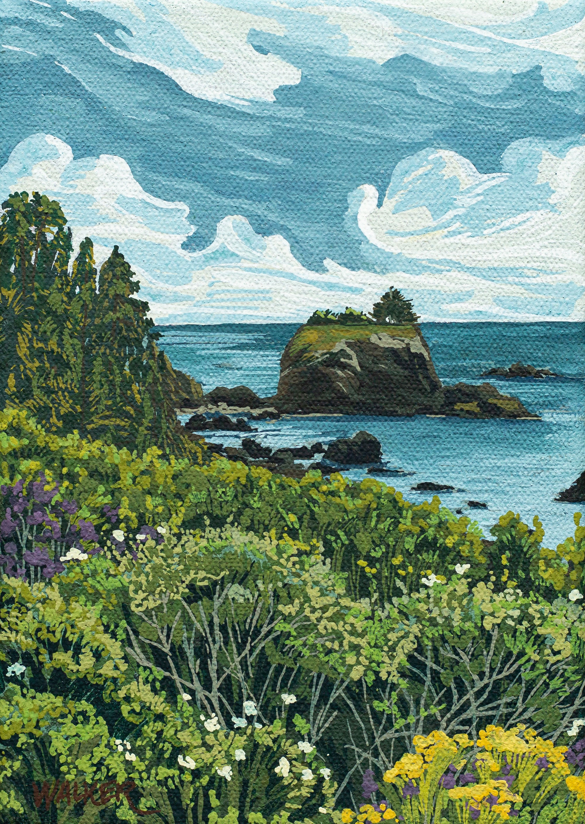 "BATTERY POINT BLOOMS" STUDY