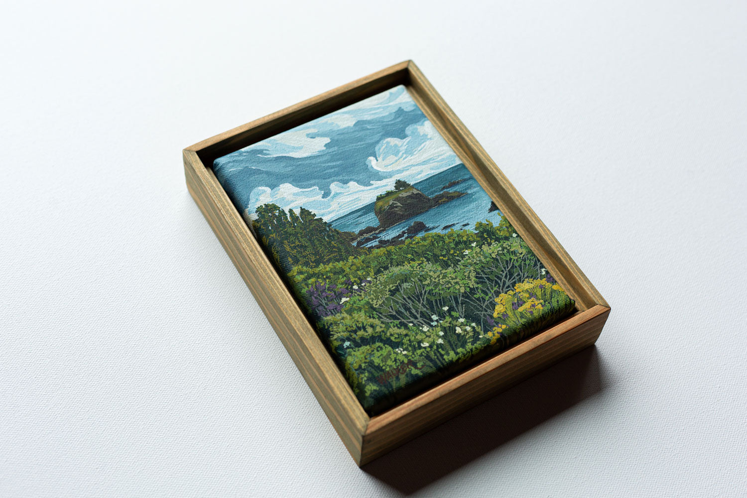 "BATTERY POINT BLOOMS" STUDY