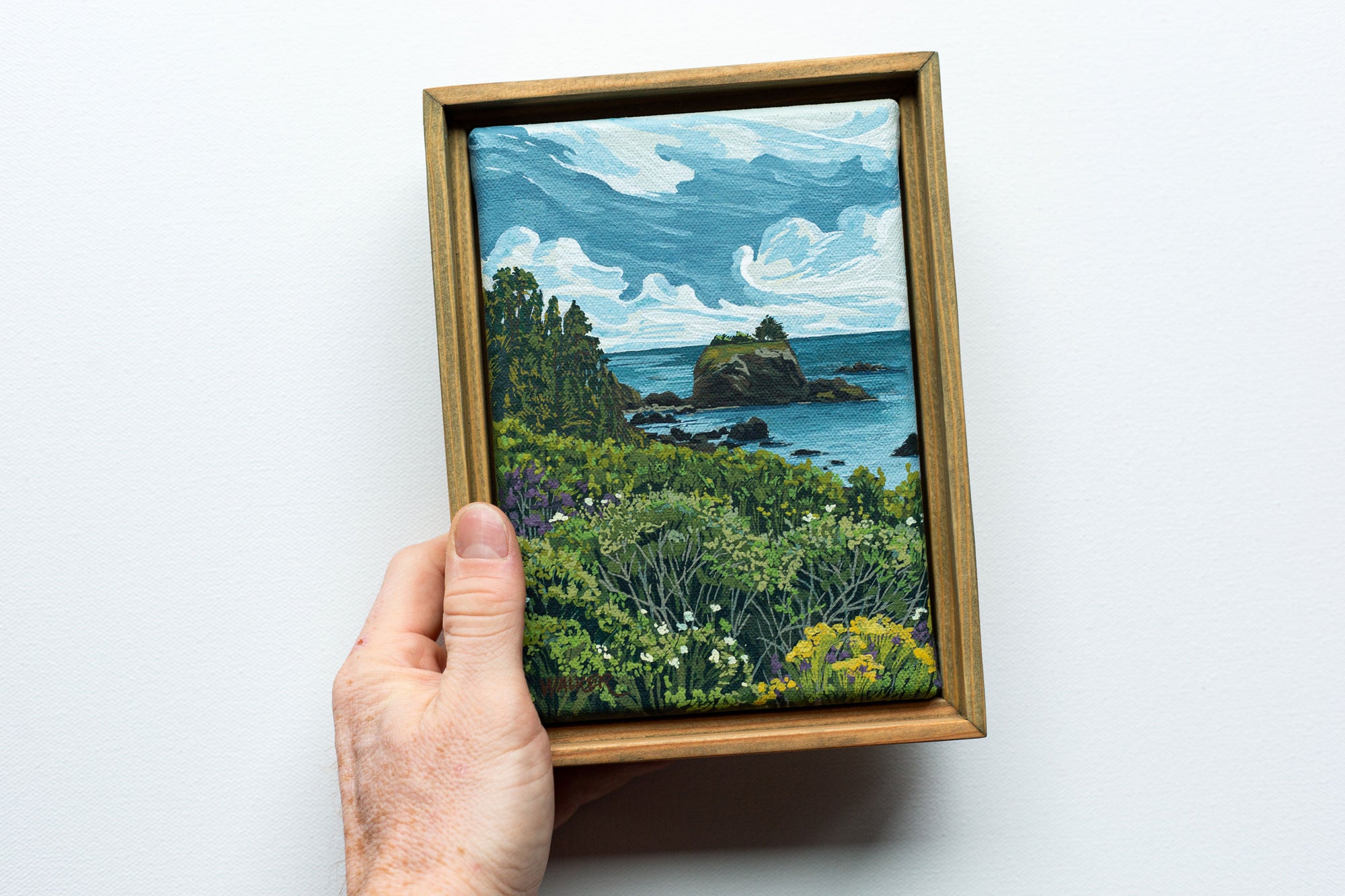 "BATTERY POINT BLOOMS" STUDY