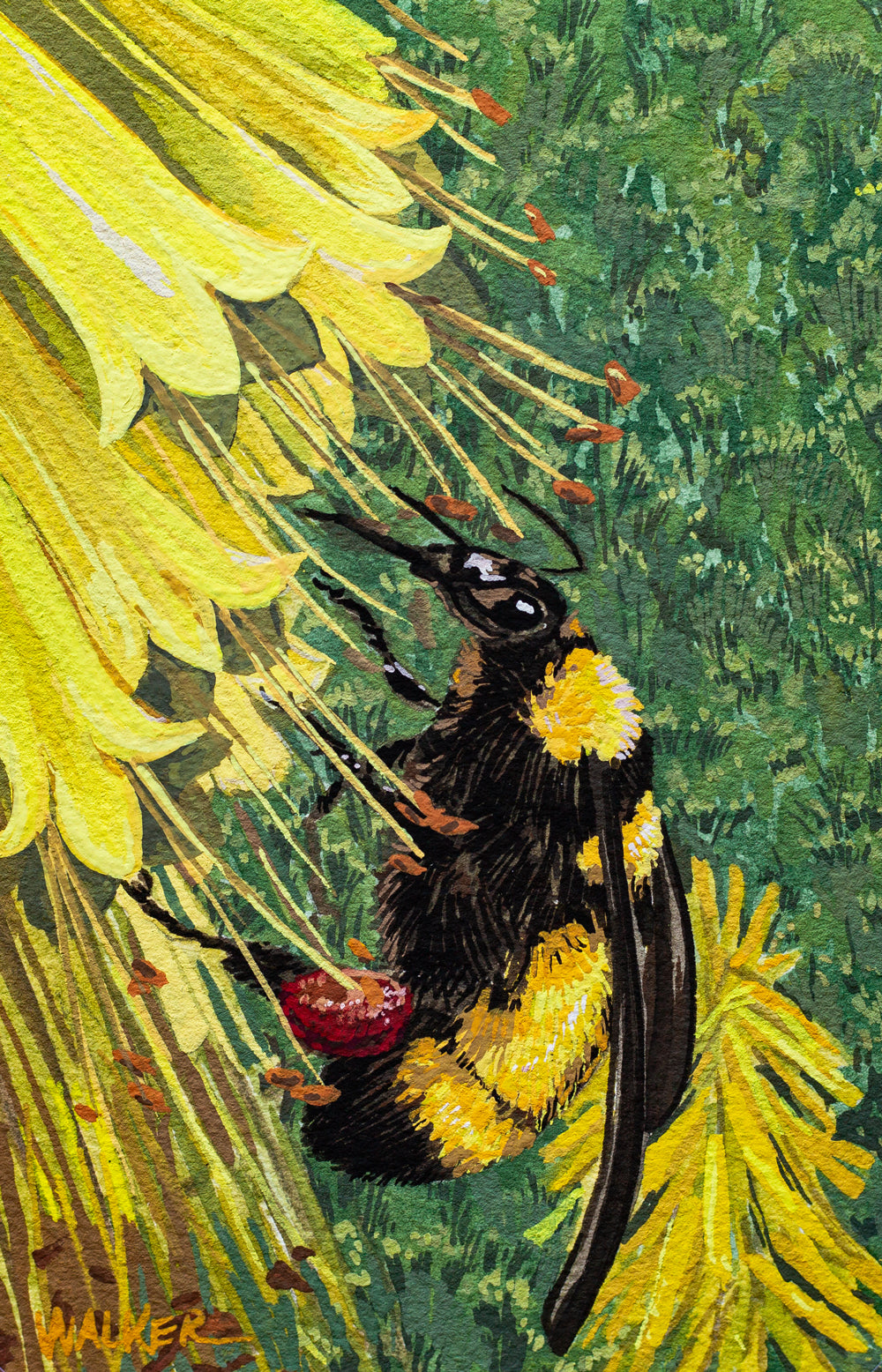 "BEE and ALOE" STUDY