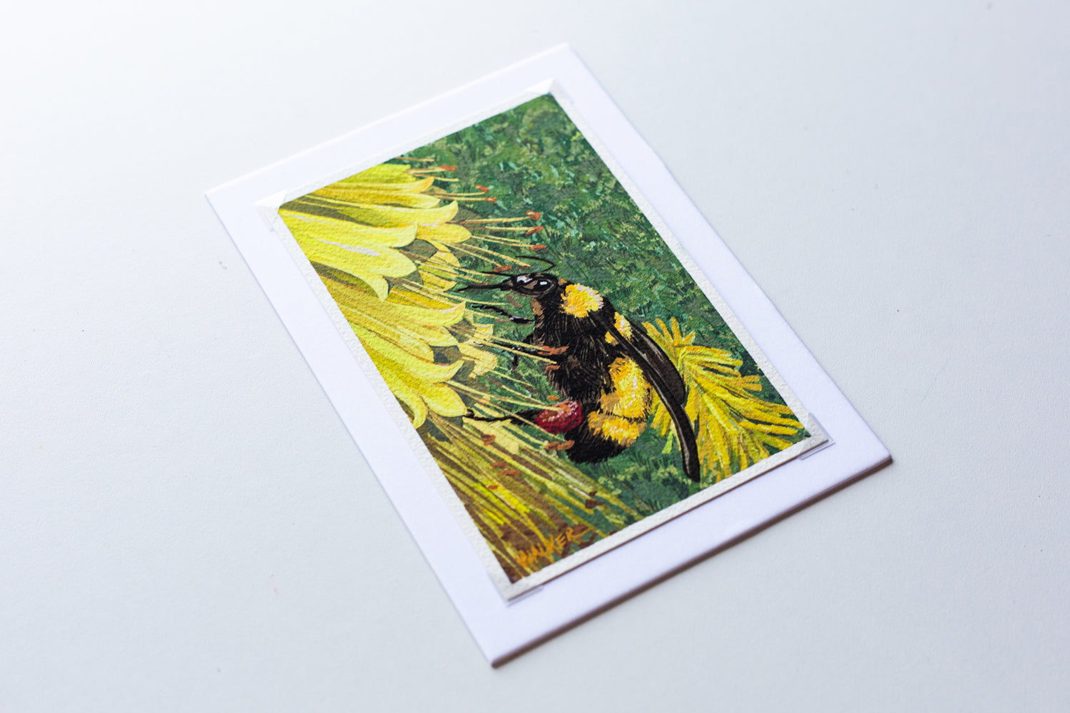 "BEE and ALOE" STUDY