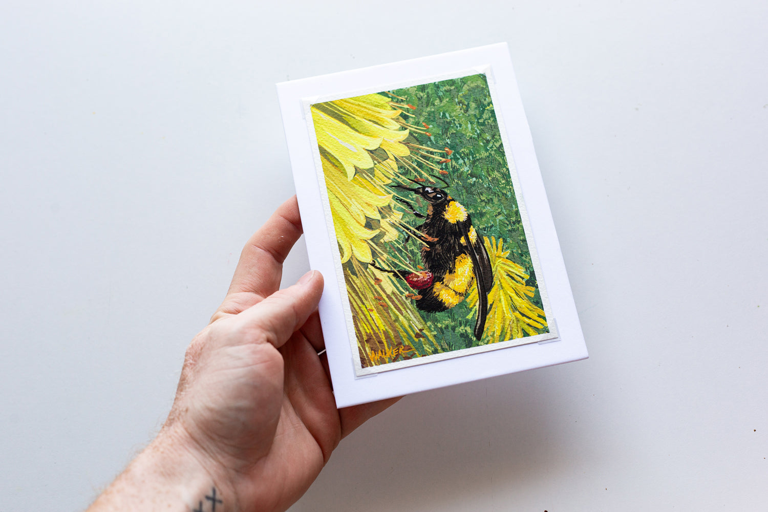 "BEE and ALOE" STUDY