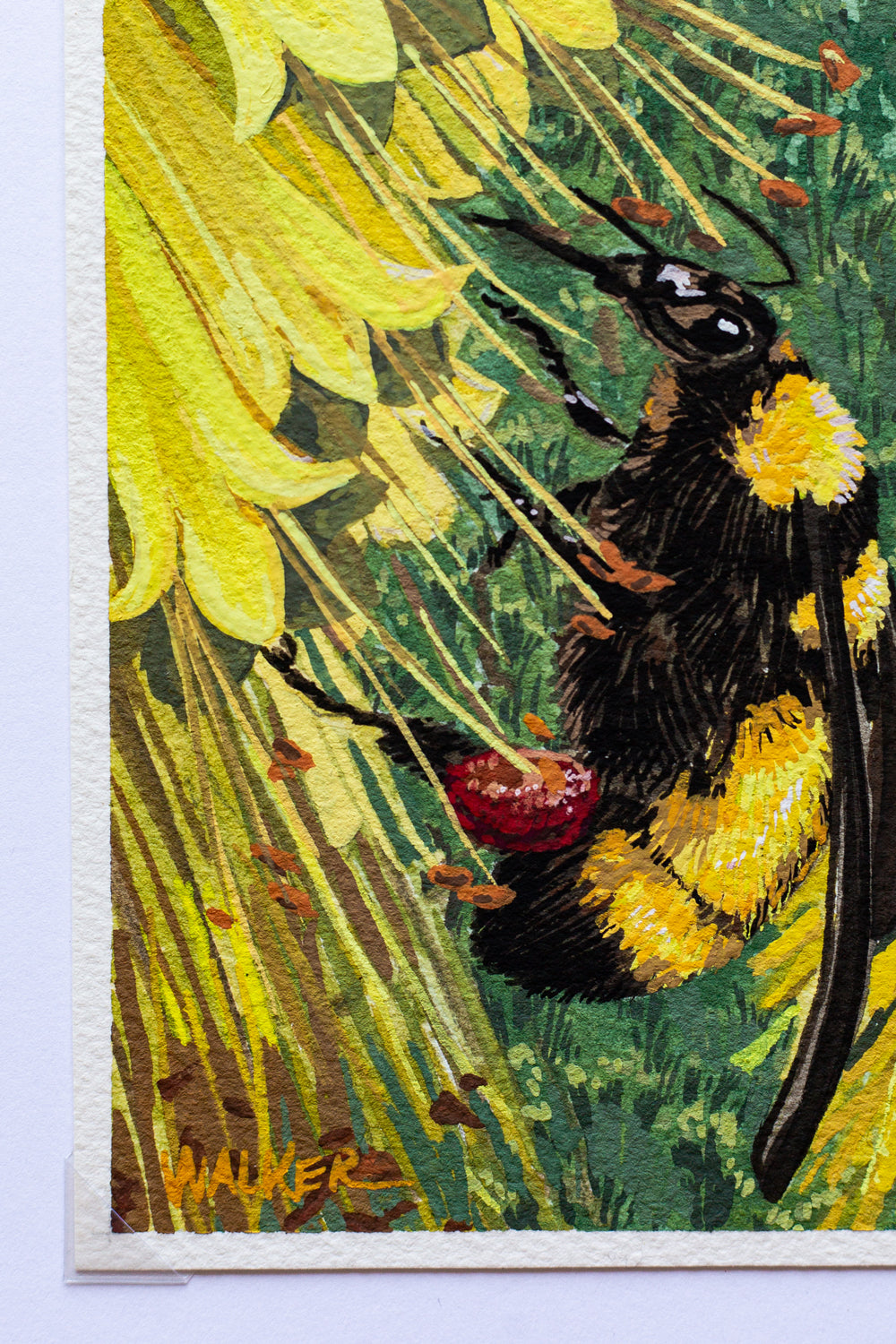 "BEE and ALOE" STUDY