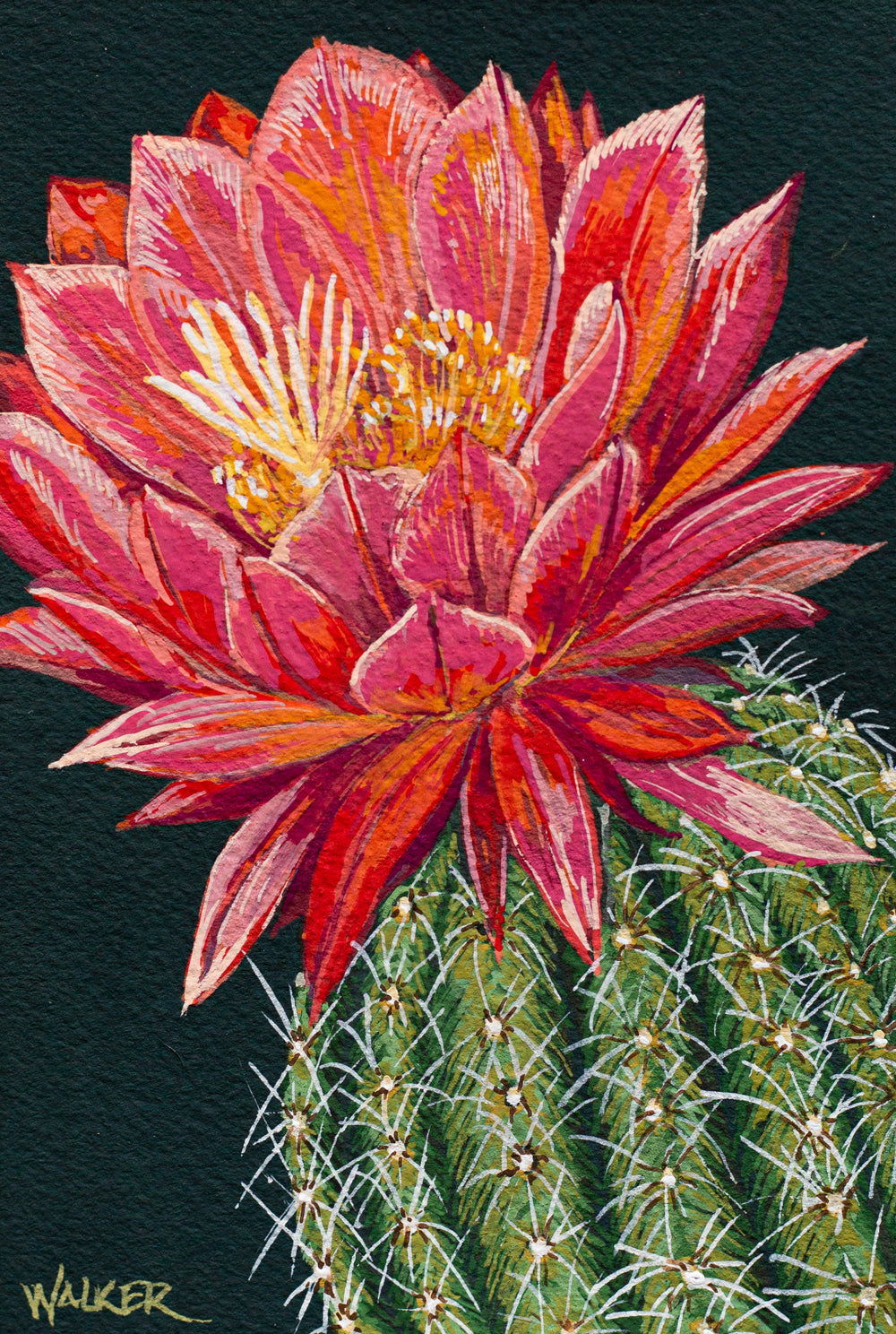 "Big Pink Bloom" PRINT