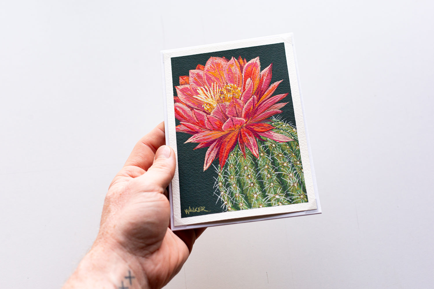 "BIG PINK BLOOM" STUDY