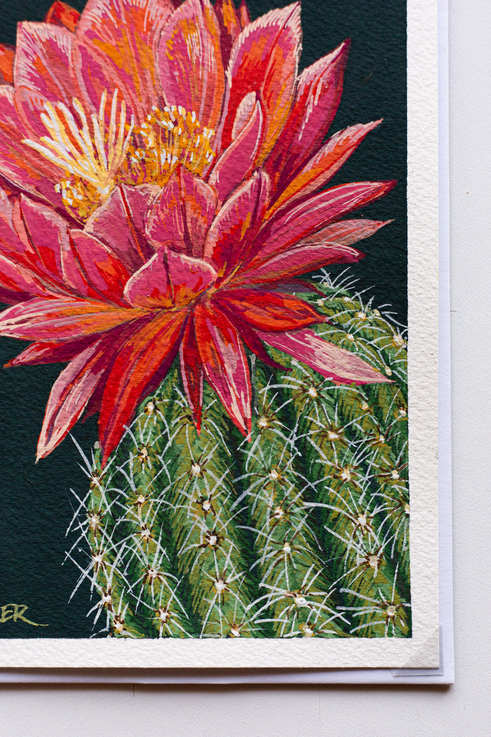 "BIG PINK BLOOM" STUDY