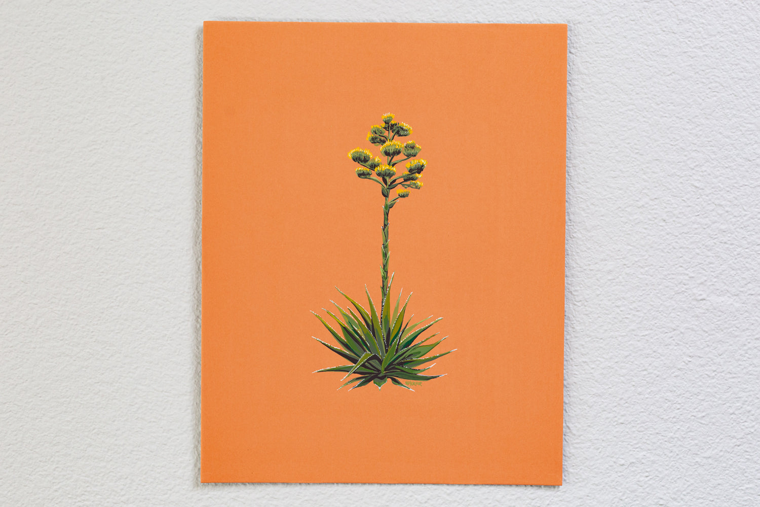 "BLOOMING AGAVE"