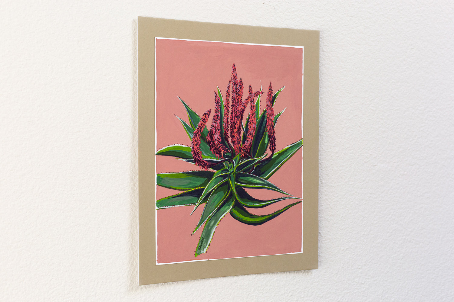 "BLOOMING ALOE FEROX"