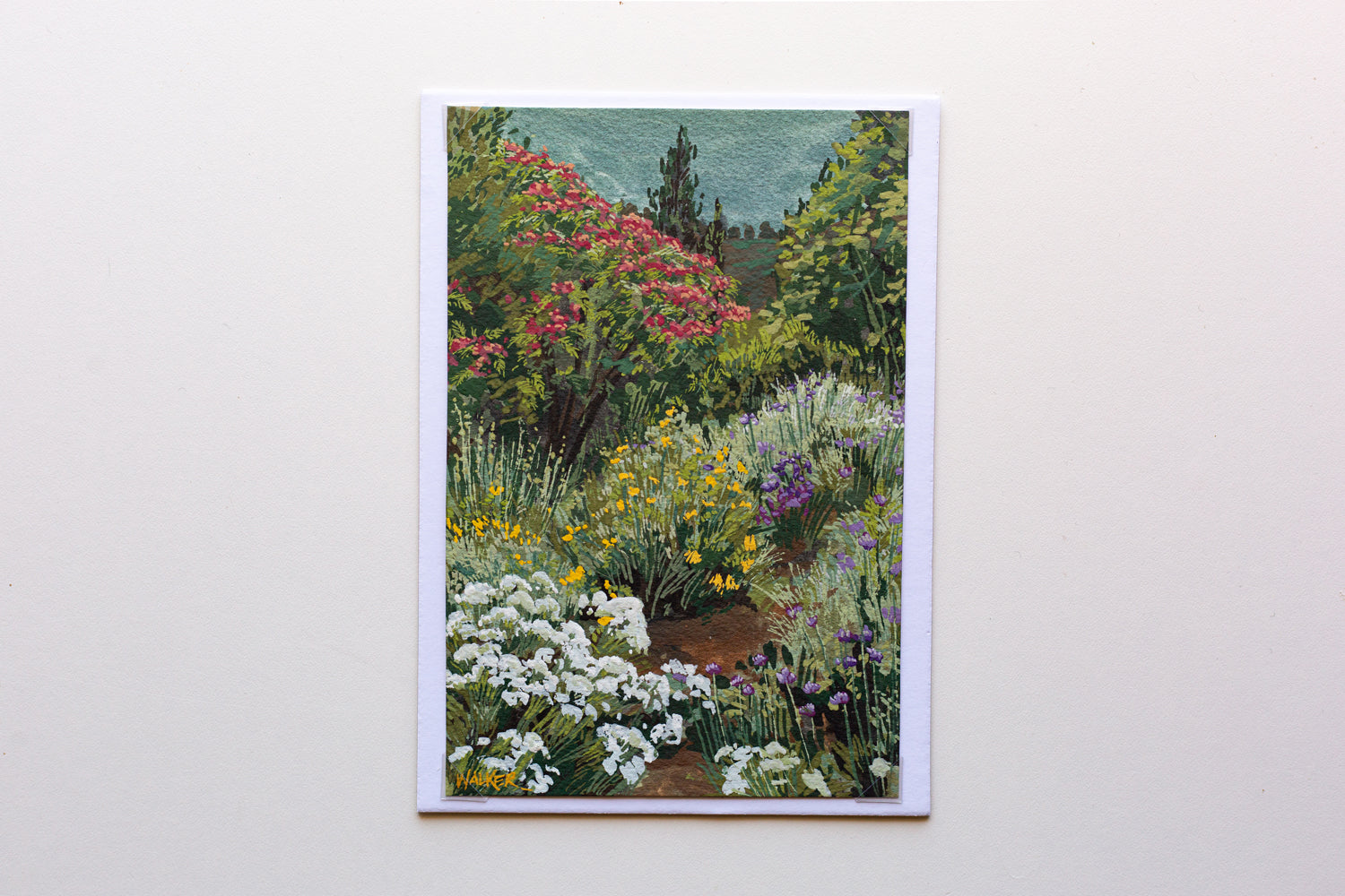 "BUTTERFLY OASIS" STUDY