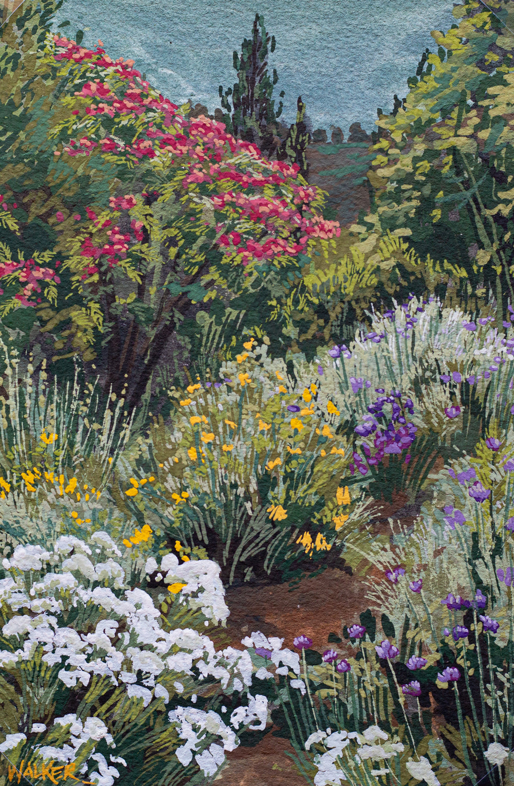 "BUTTERFLY OASIS" STUDY