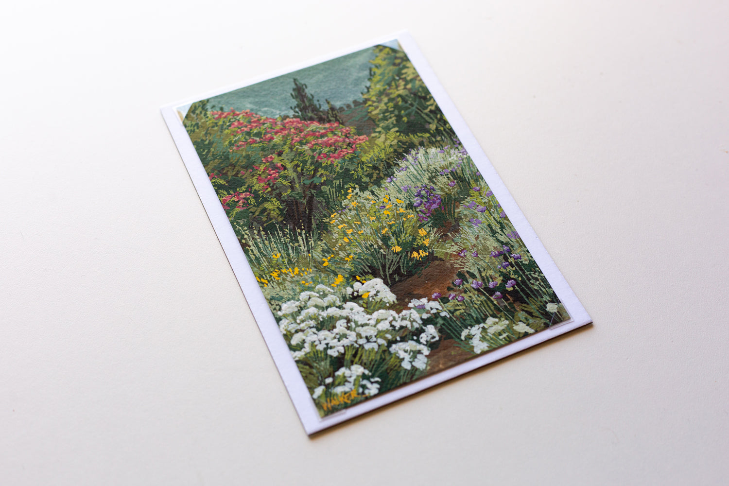 "BUTTERFLY OASIS" STUDY