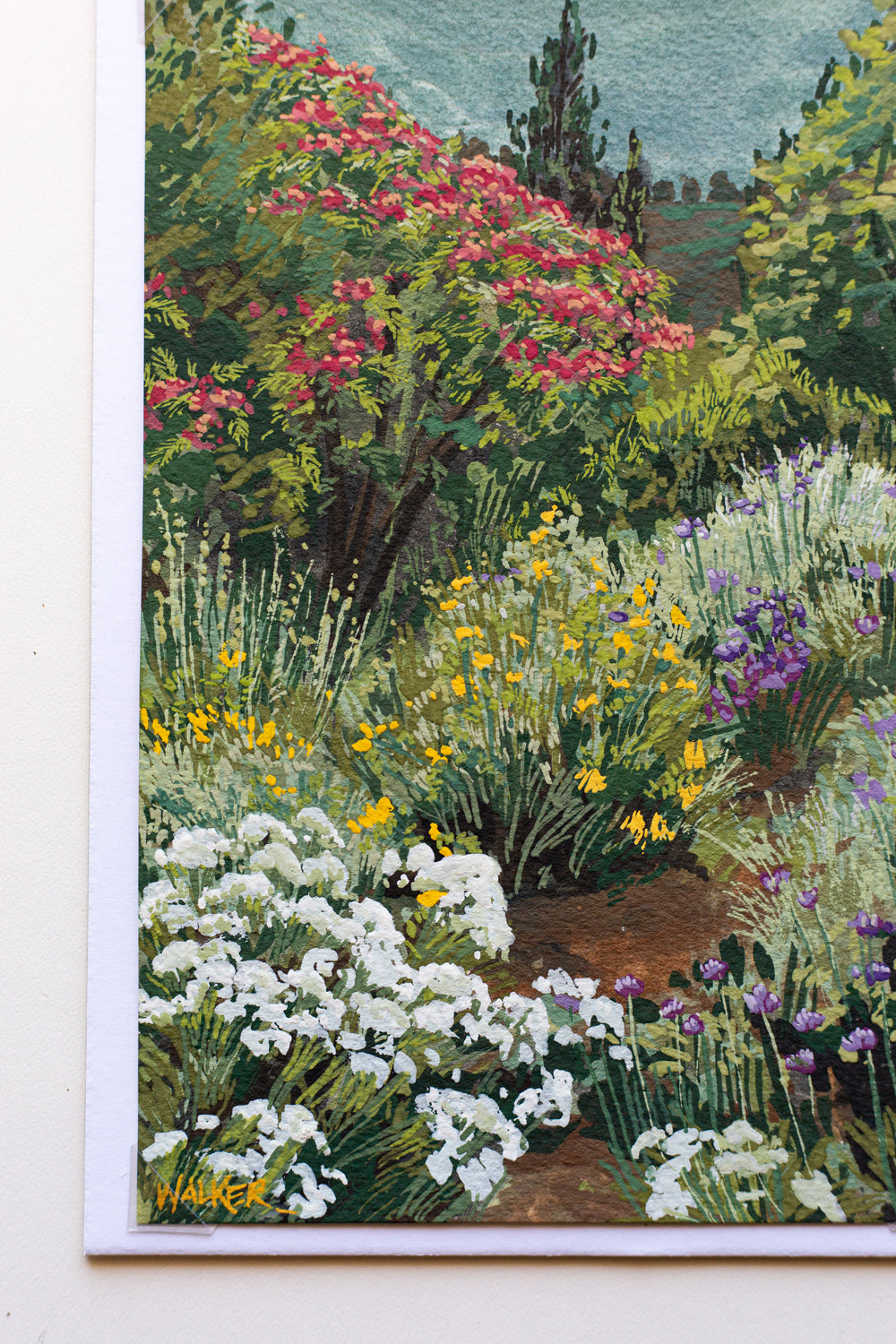 "BUTTERFLY OASIS" STUDY