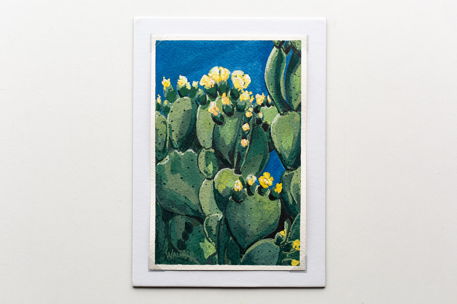 "CACTUS IN BLOOM" STUDY