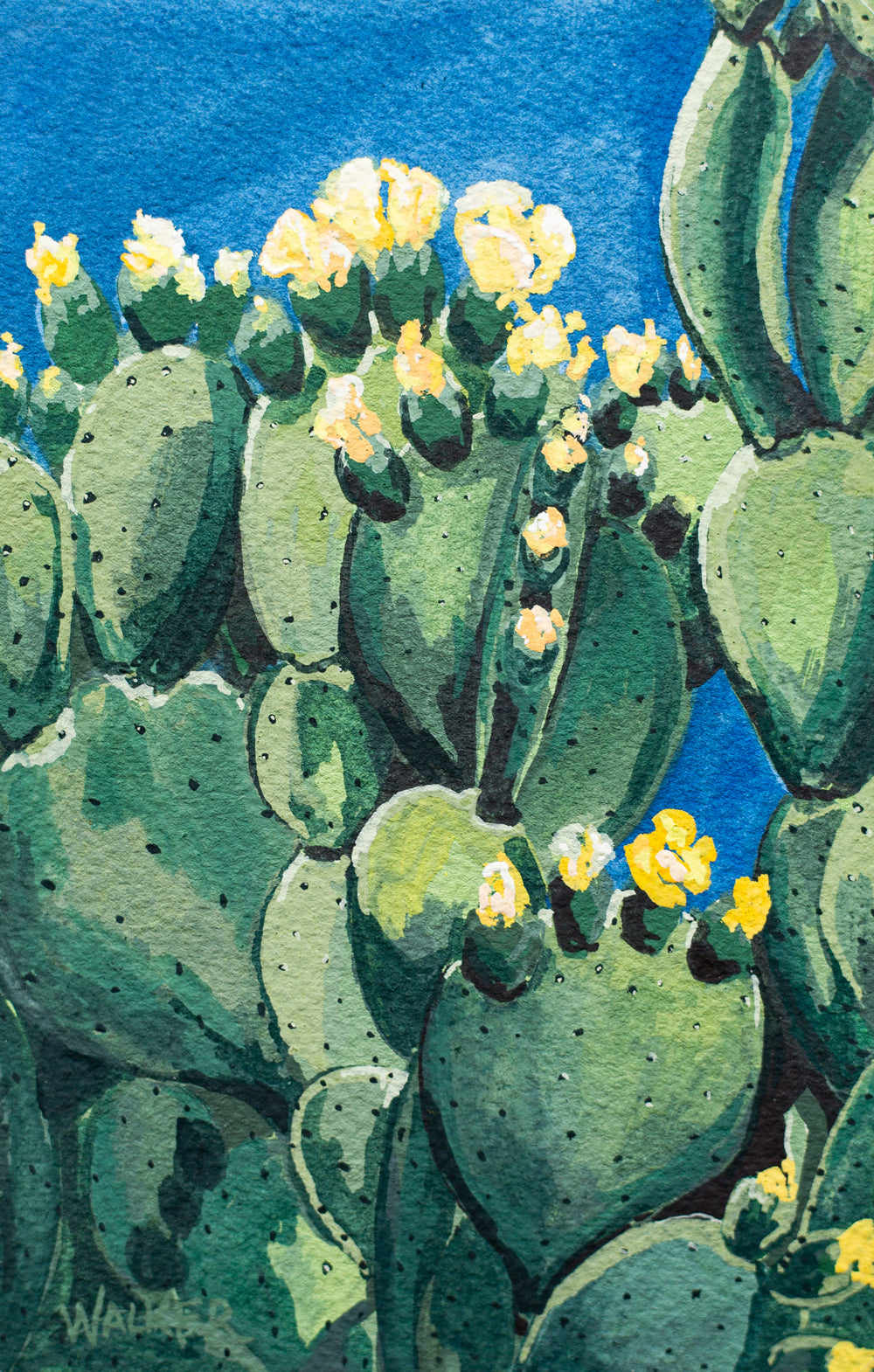 "Cactus in Bloom" PRINT
