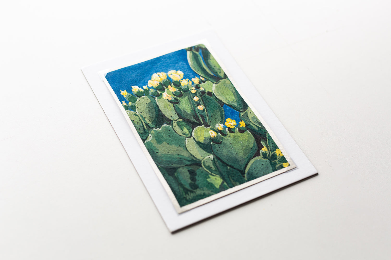 "CACTUS IN BLOOM" STUDY