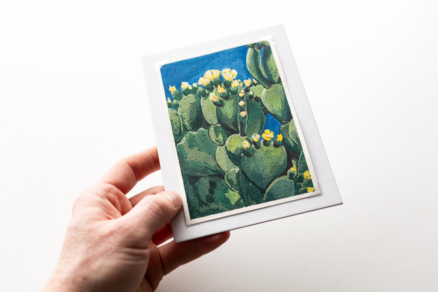 "CACTUS IN BLOOM" STUDY