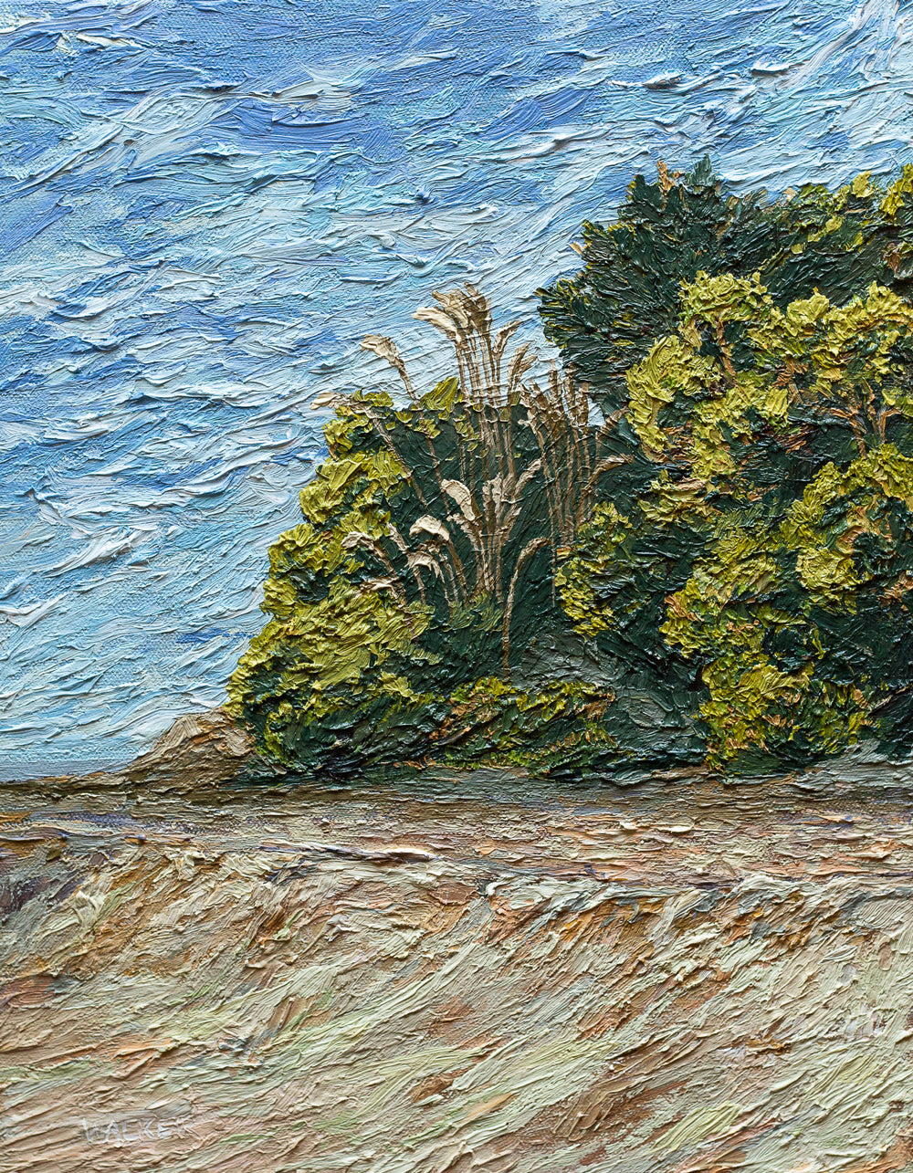 "Camel Point Plants" PRINT