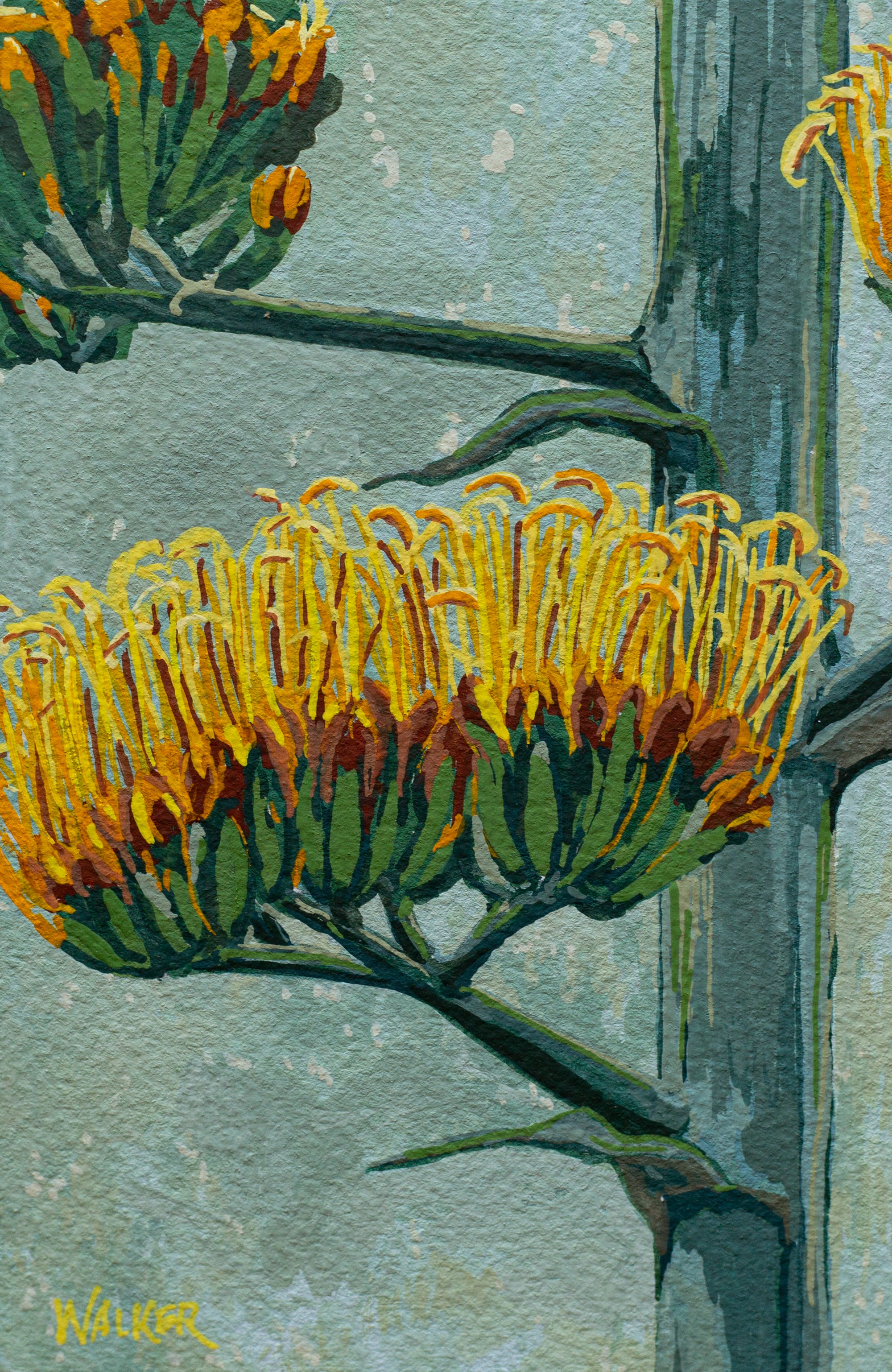 "Century Aloe Blooms" PRINT