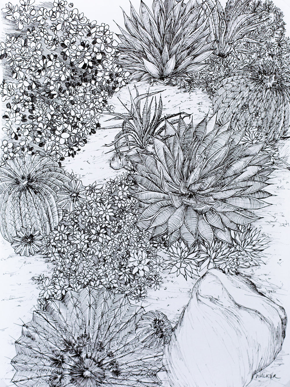 "Cactus Composition #1" PRINT