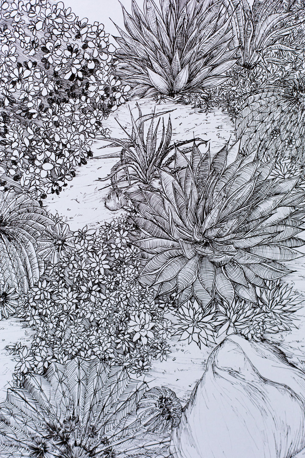 "Cactus Composition #1" ILLUSTRATION