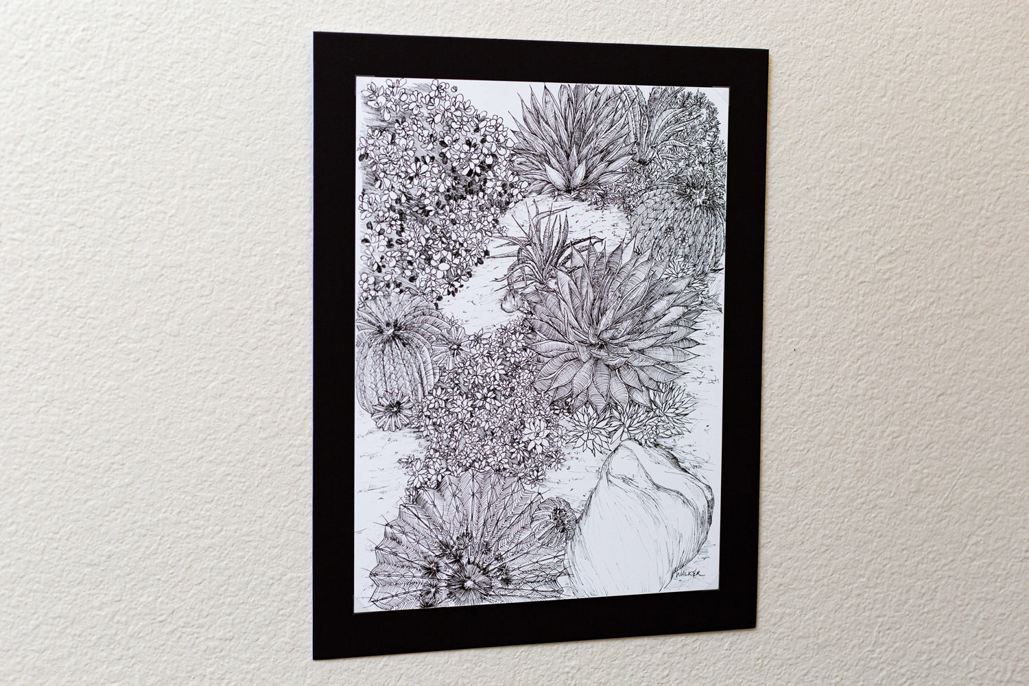 "Cactus Composition #1" ILLUSTRATION