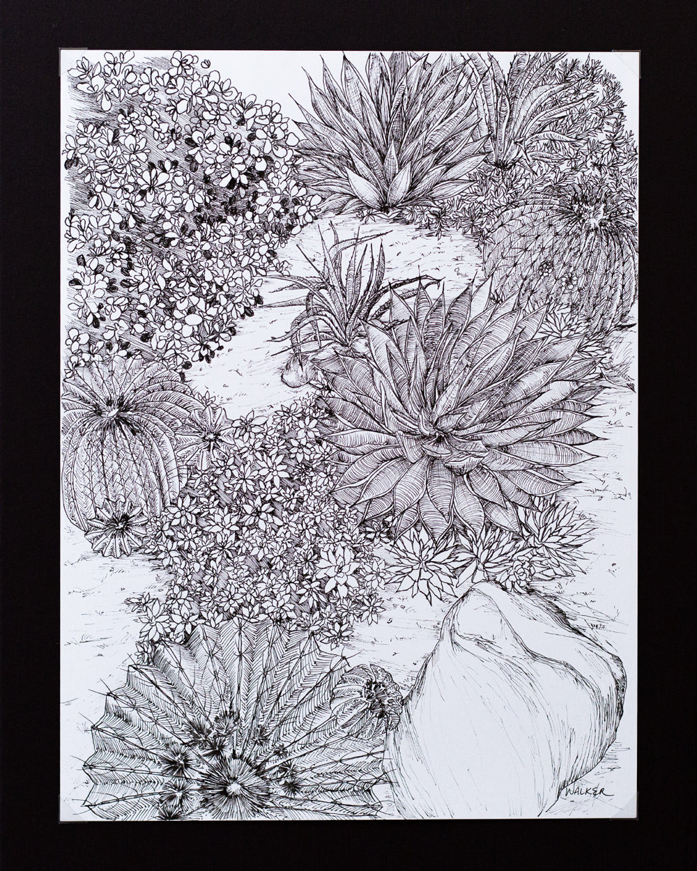 "Cactus Composition #1" ILLUSTRATION