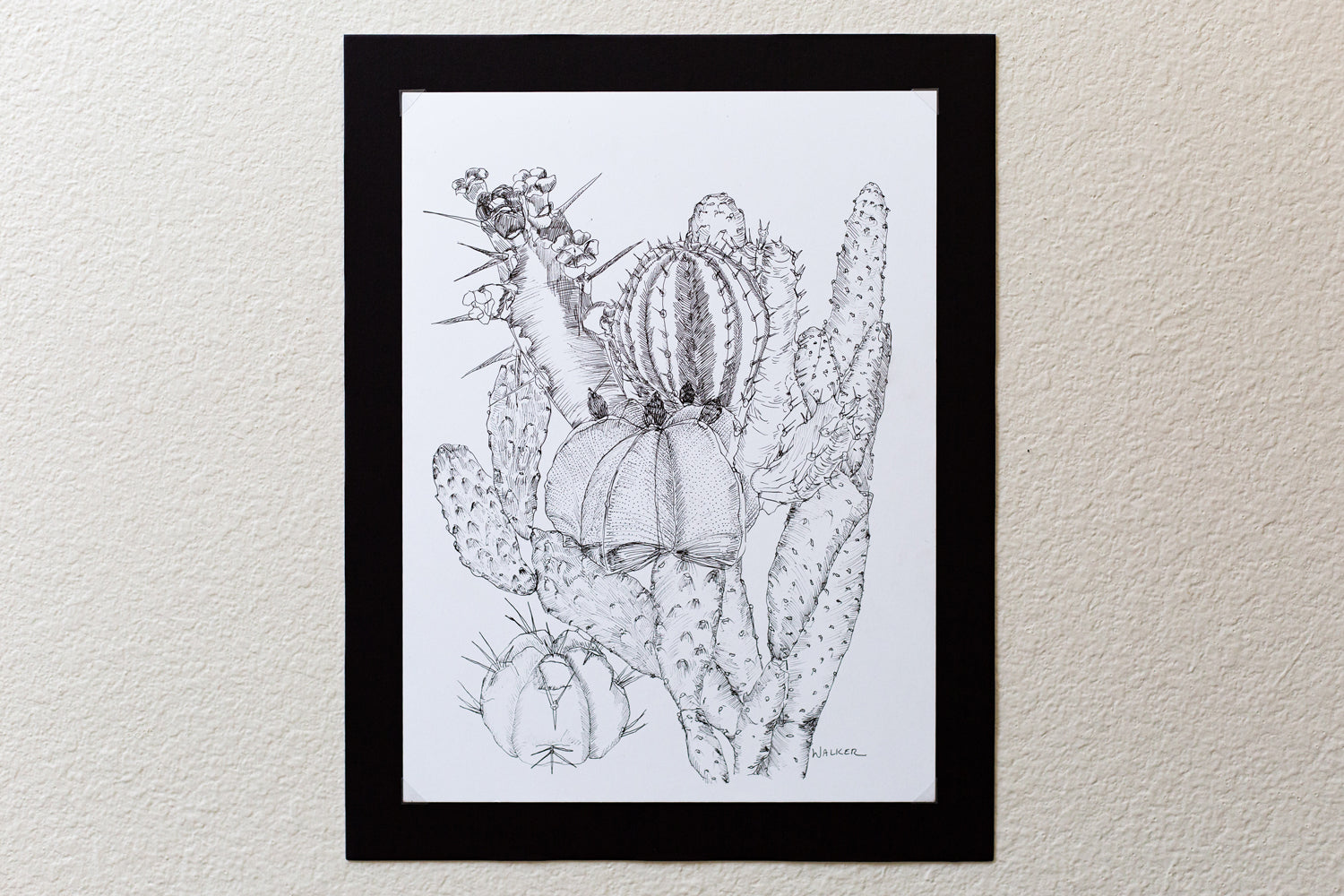 "Cactus Composition #2" ILLUSTRATION