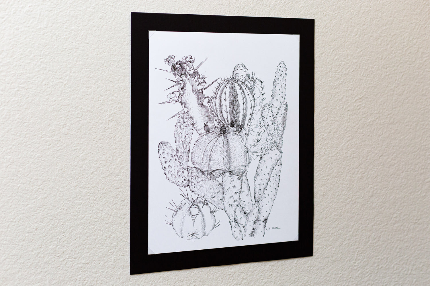 "Cactus Composition #2" ILLUSTRATION