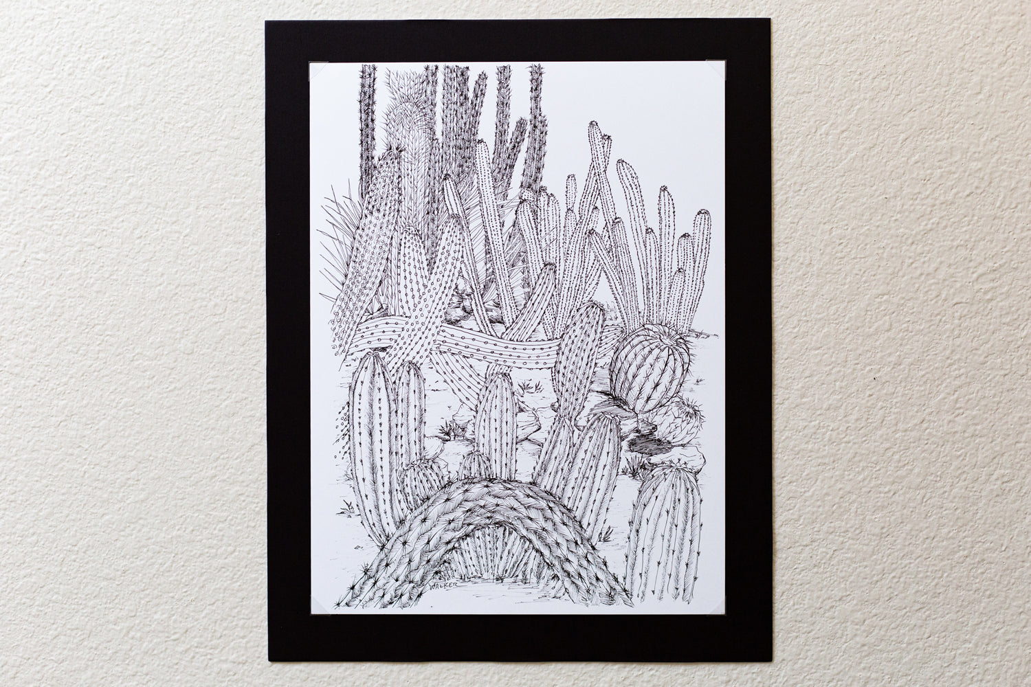 "Cactus Composition #3" ILLUSTRATION