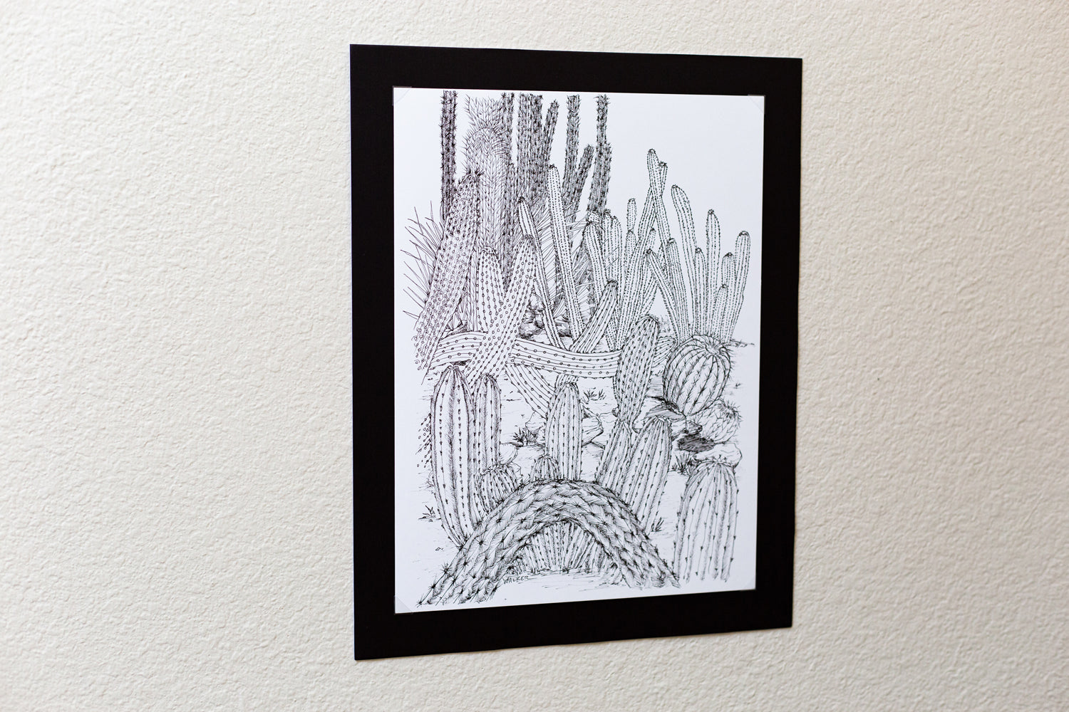 "Cactus Composition #3" ILLUSTRATION
