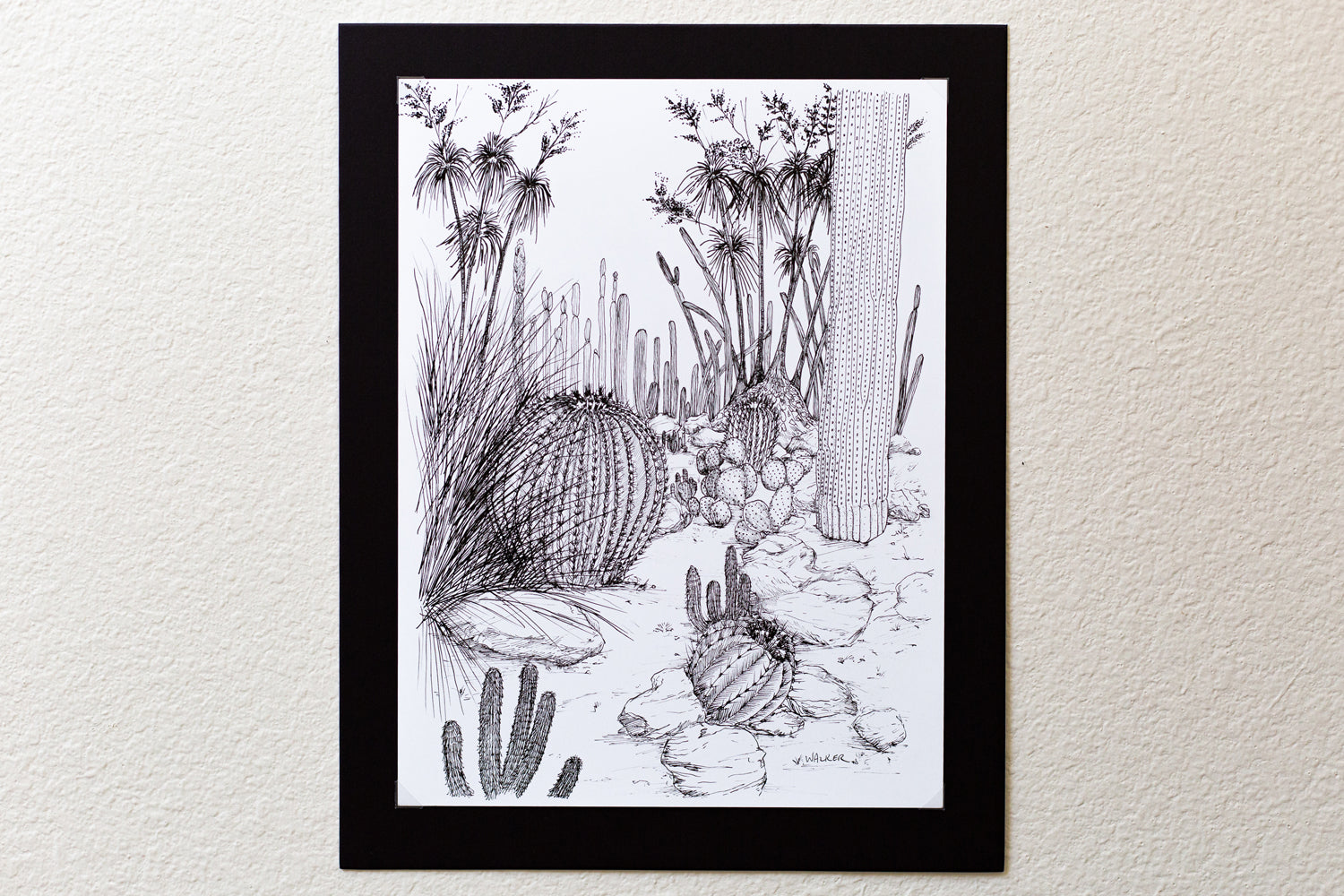 "Cactus Composition #4" ILLUSTRATION