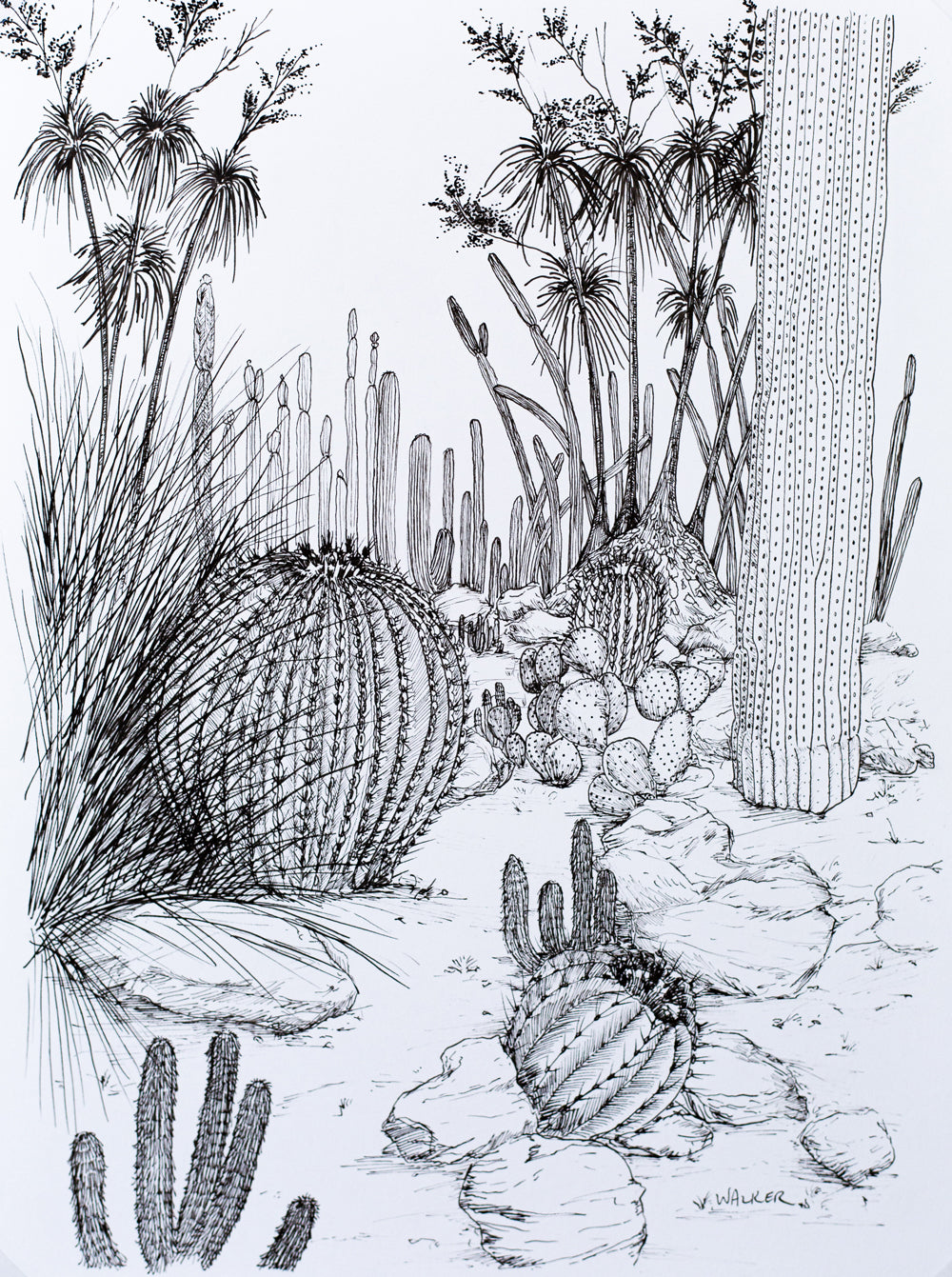 "Cactus Composition #4" PRINT