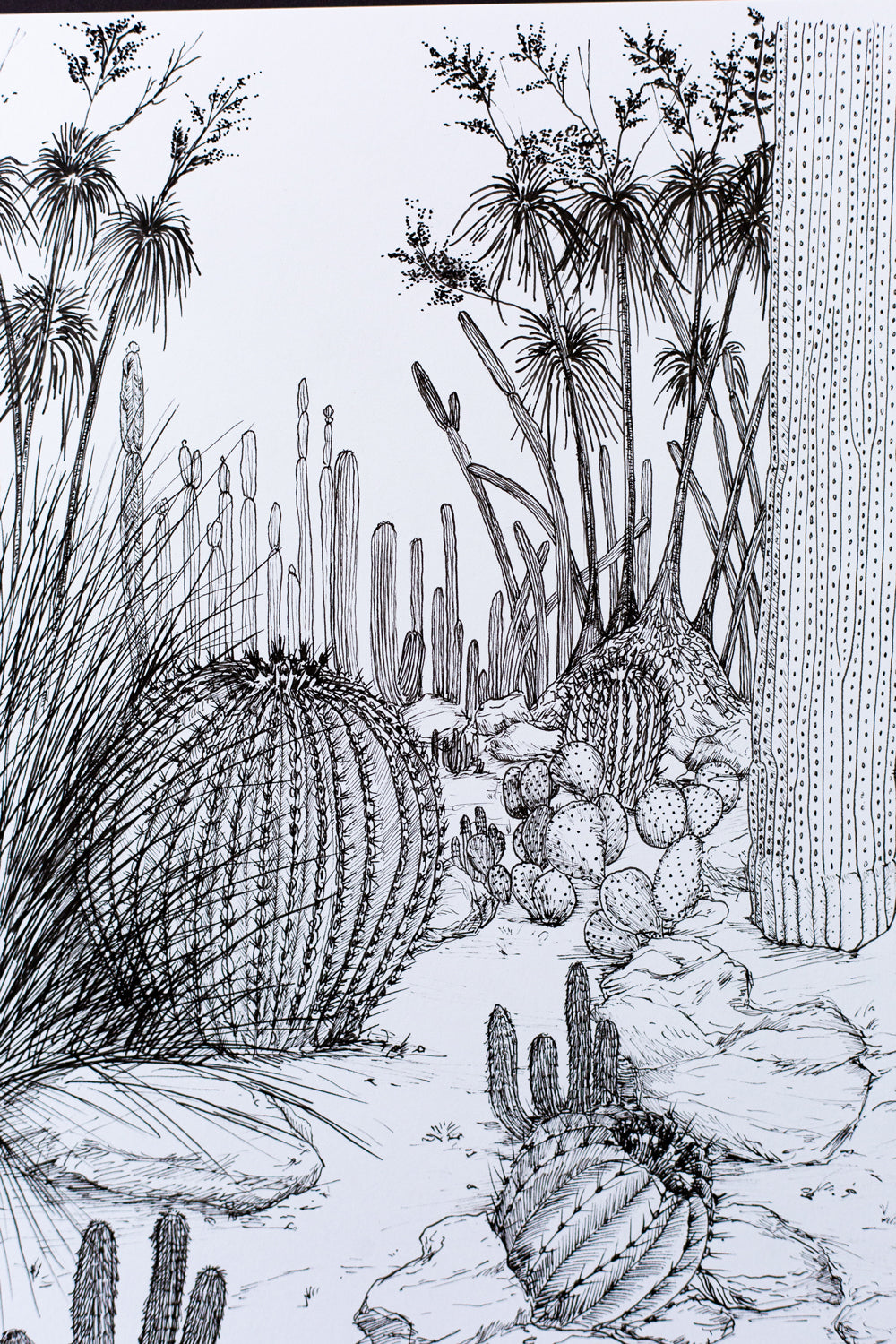 "Cactus Composition #4" ILLUSTRATION
