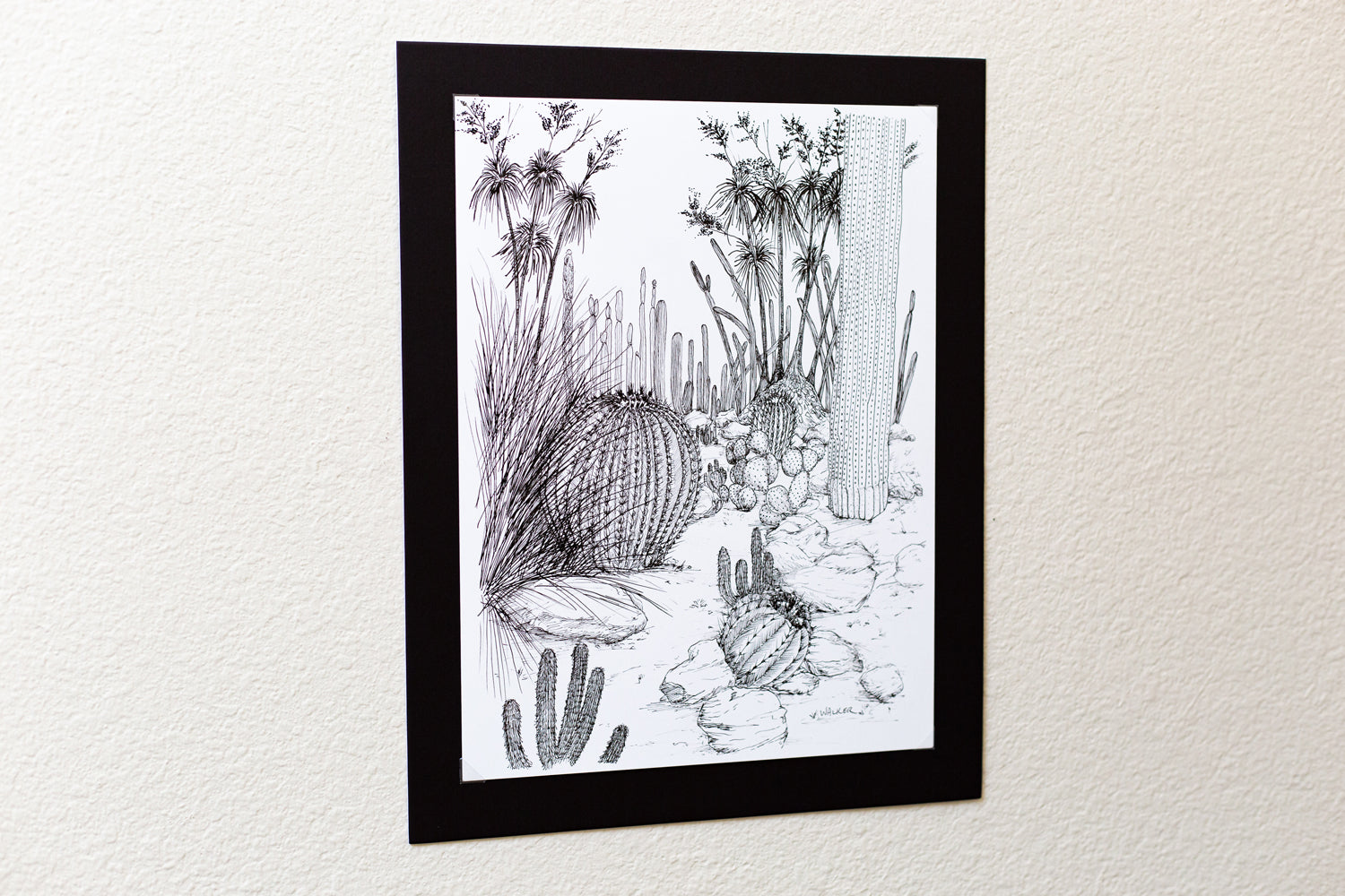 "Cactus Composition #4" ILLUSTRATION