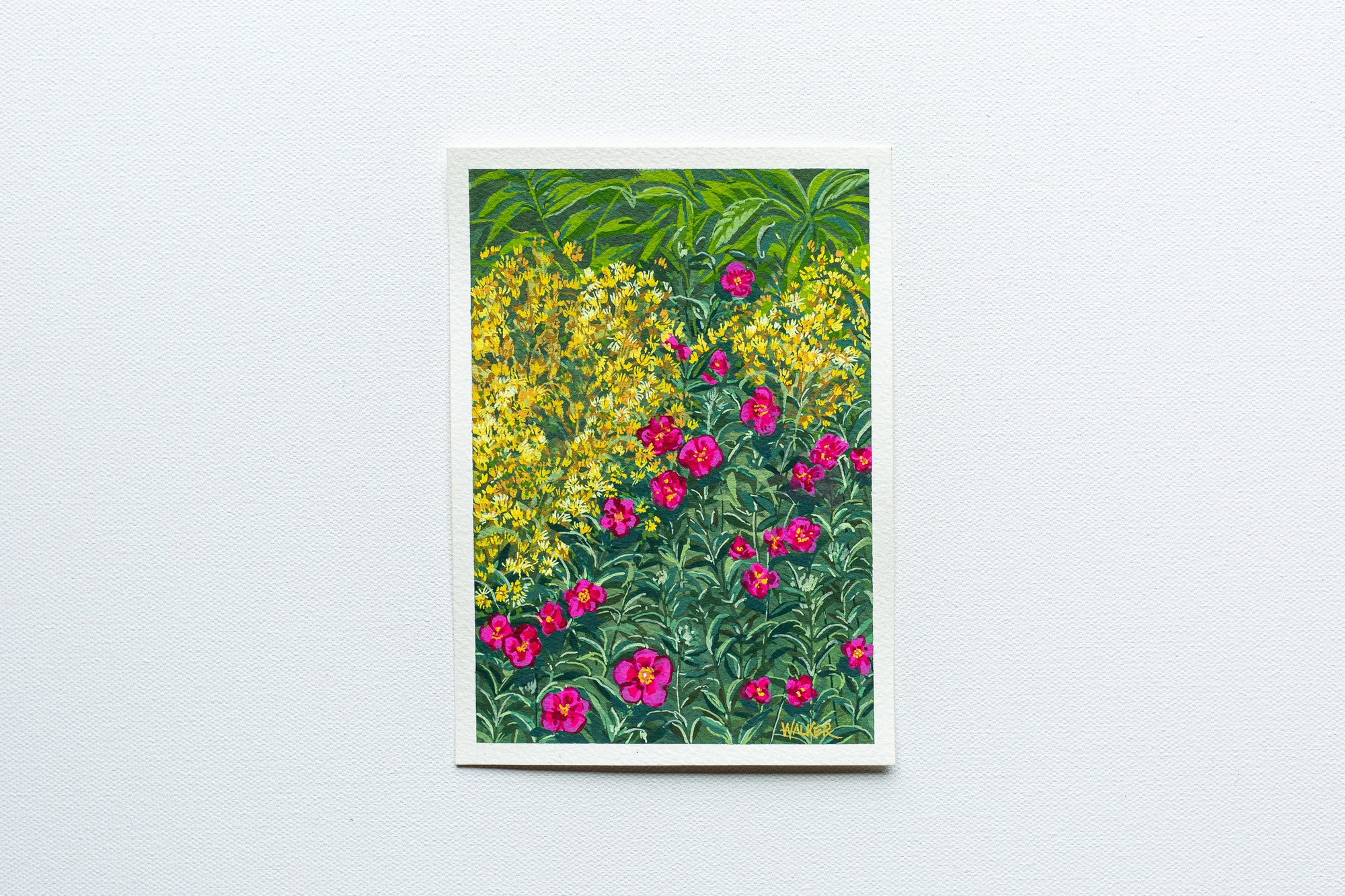"FIRST BLOOMS" STUDY