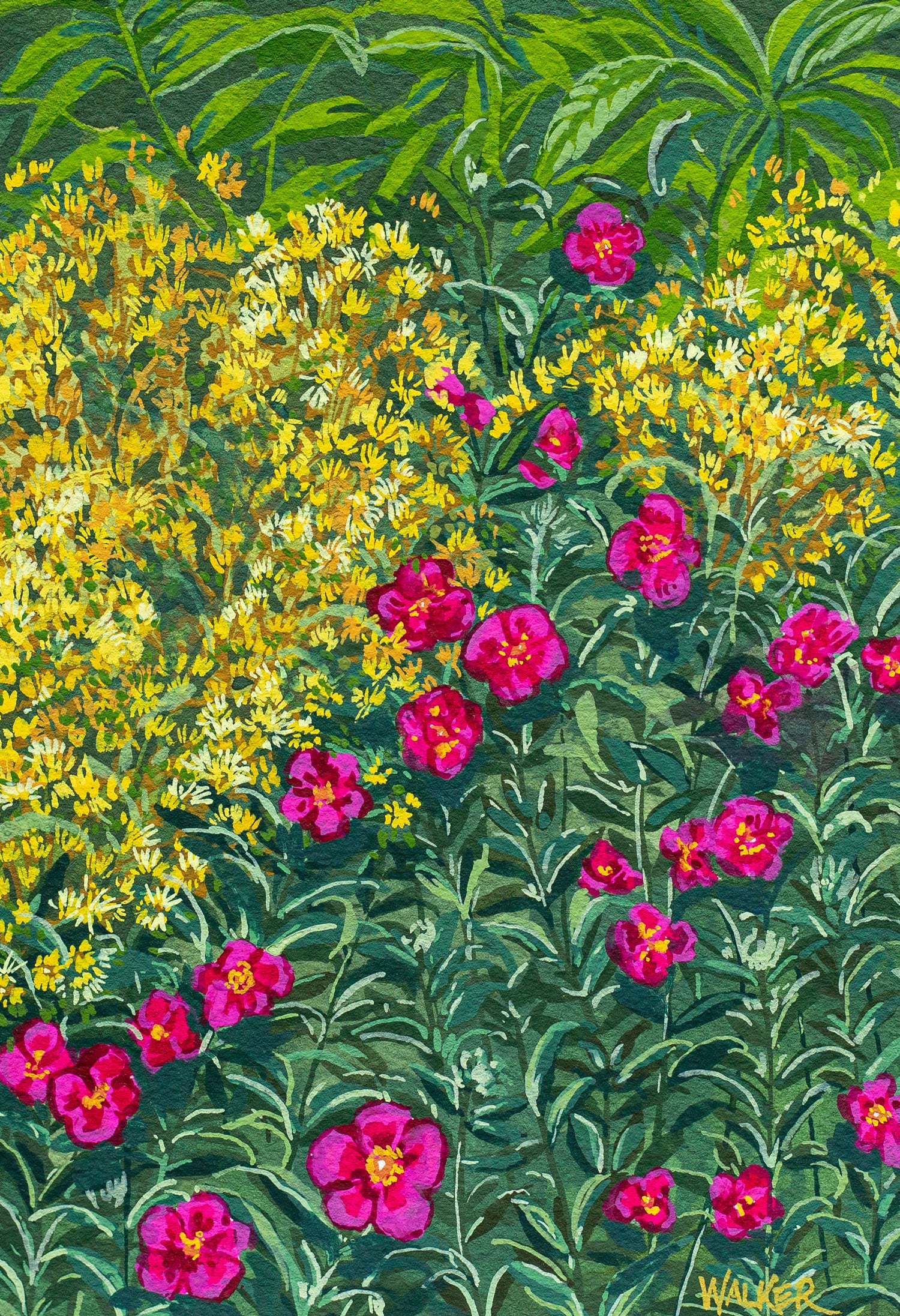 "FIRST BLOOMS" STUDY