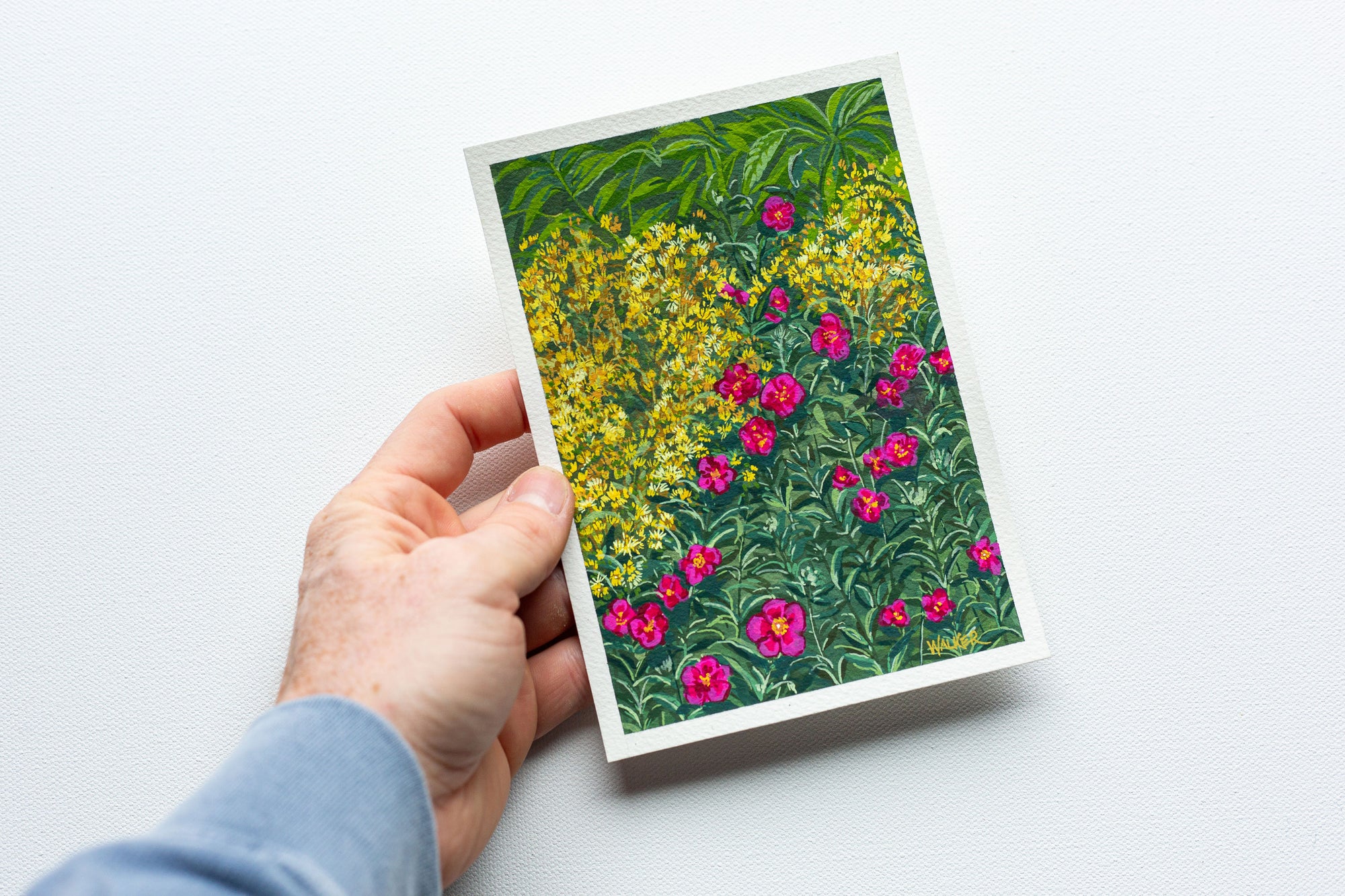 "FIRST BLOOMS" STUDY