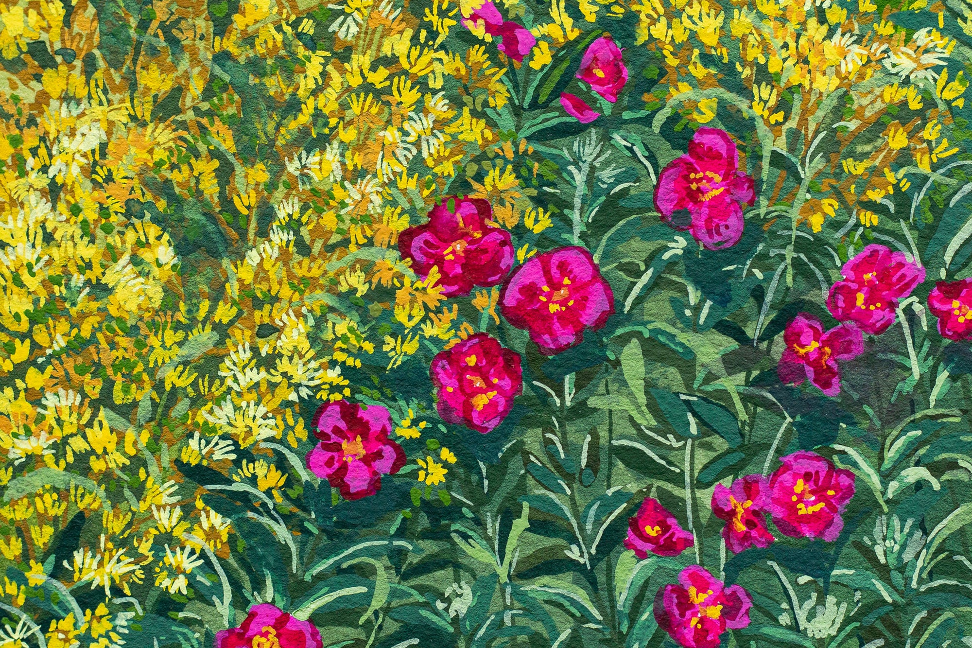 "FIRST BLOOMS" STUDY