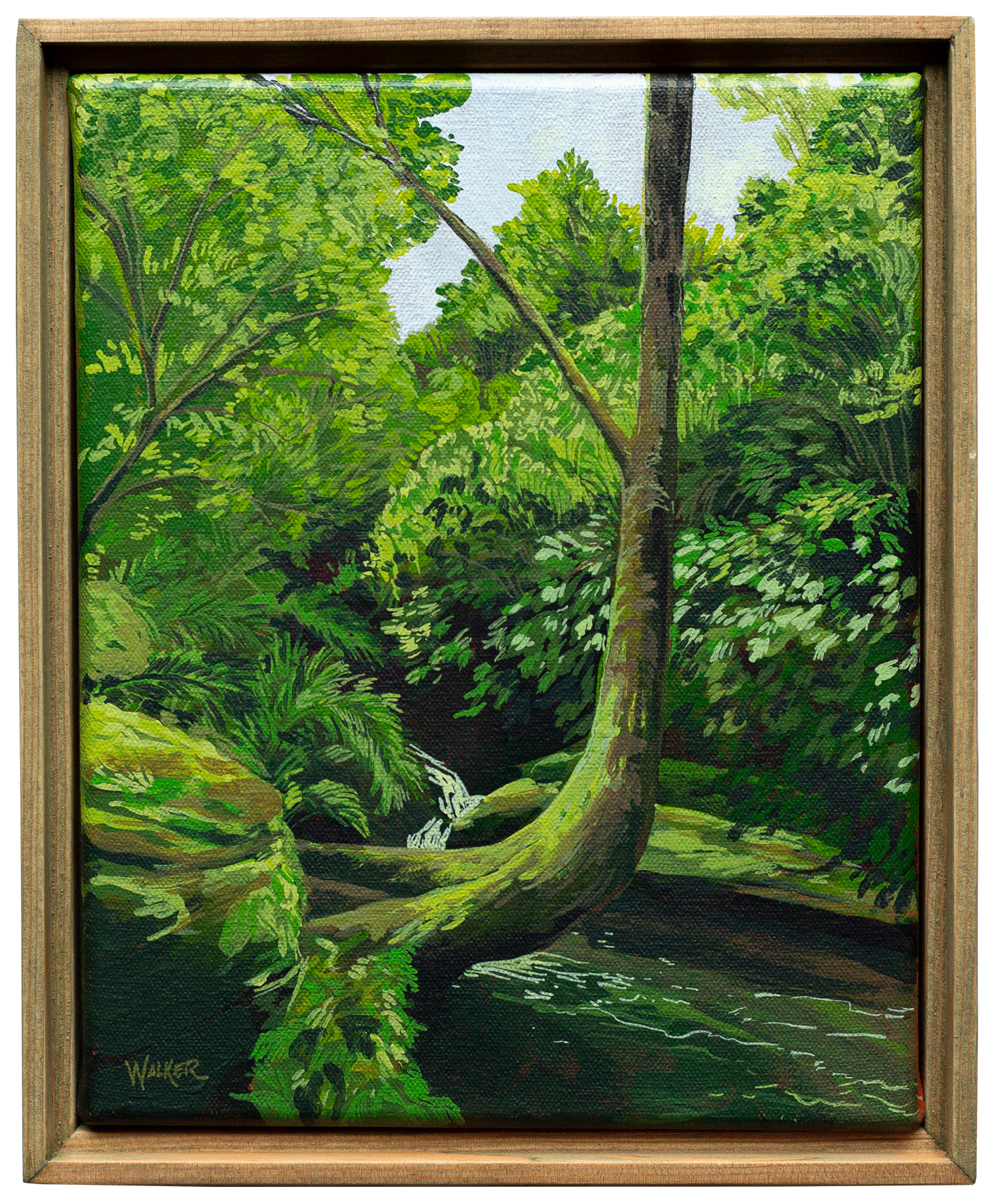 "FOUND THE LIGHT" STUDY