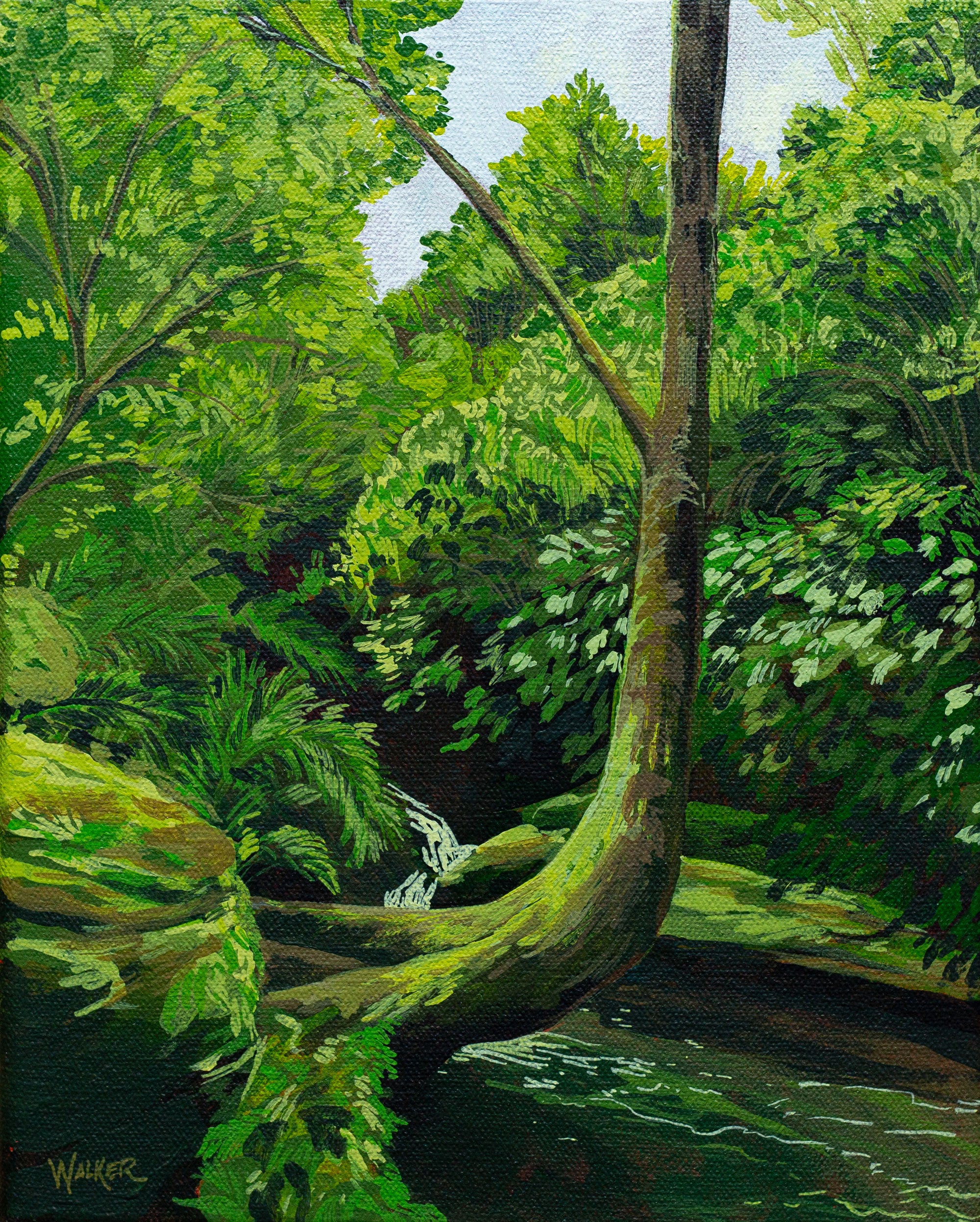 "FOUND THE LIGHT" STUDY
